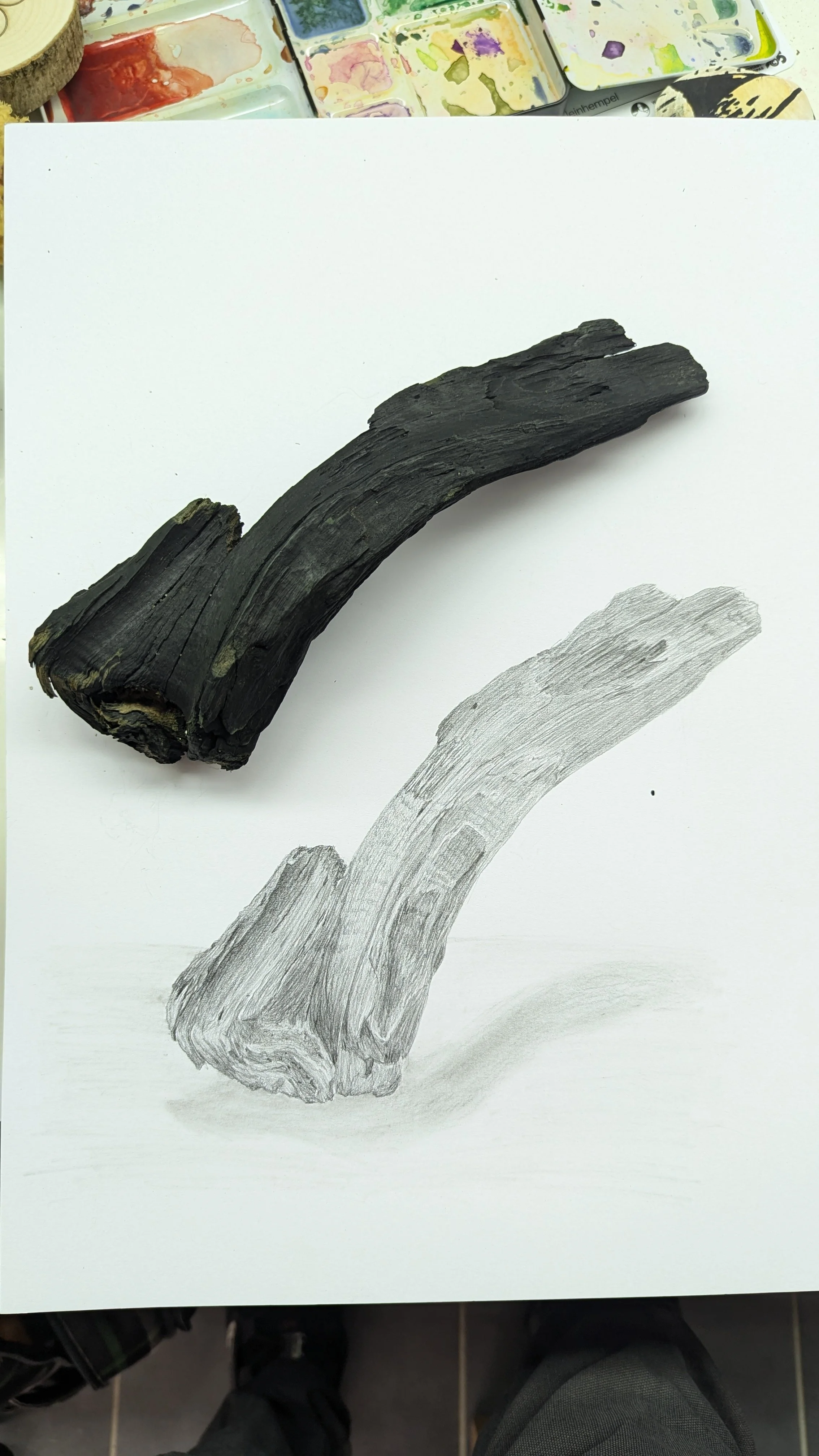 PXL_20241109_133444226.jpg