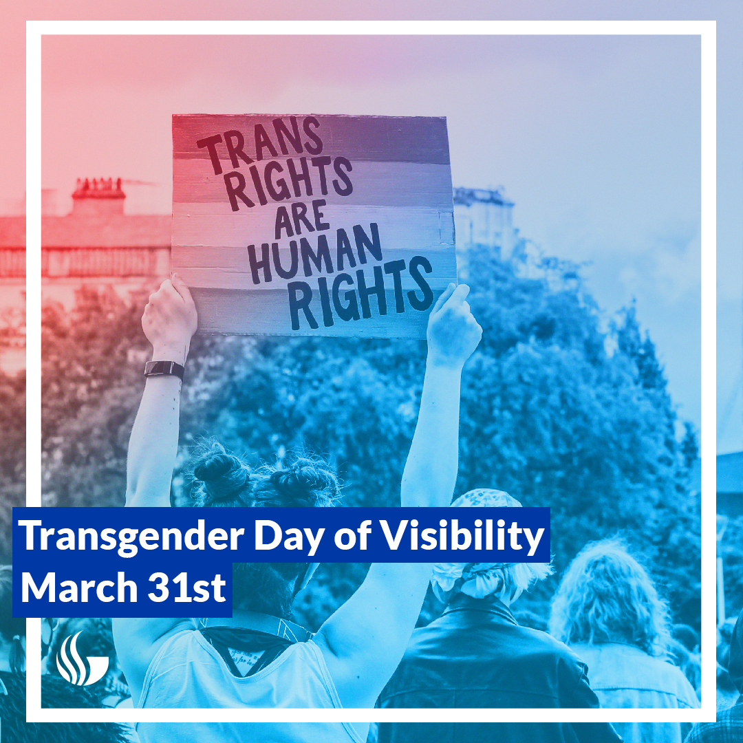 TDOV_day.png