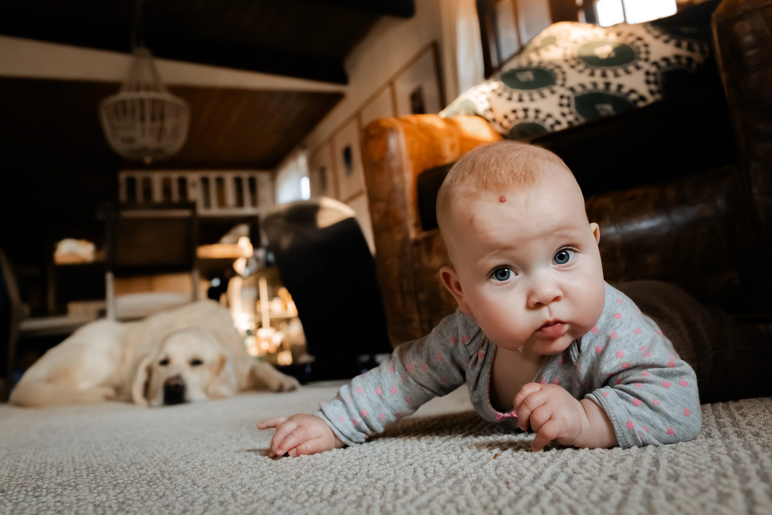 Newborn baby lying on floor with dog in a cozy Boulder living room with soft afternoon light