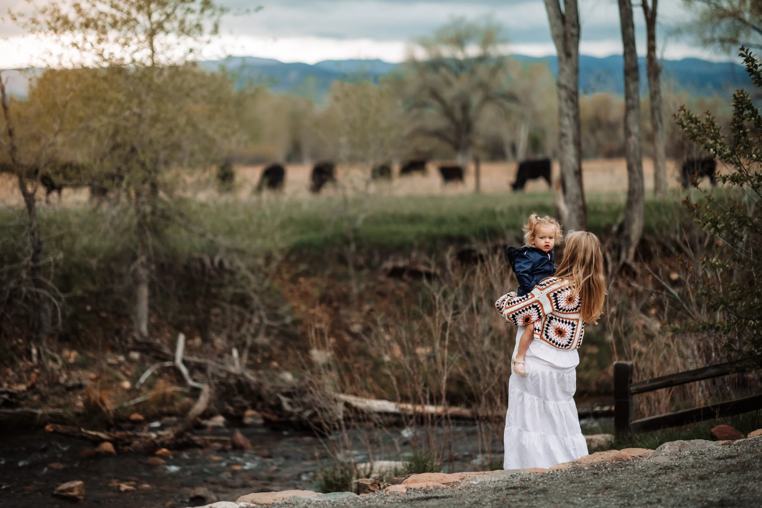 Overcast golden hour family maternity session with moody spring skies in Boulder, CO with cows in background field