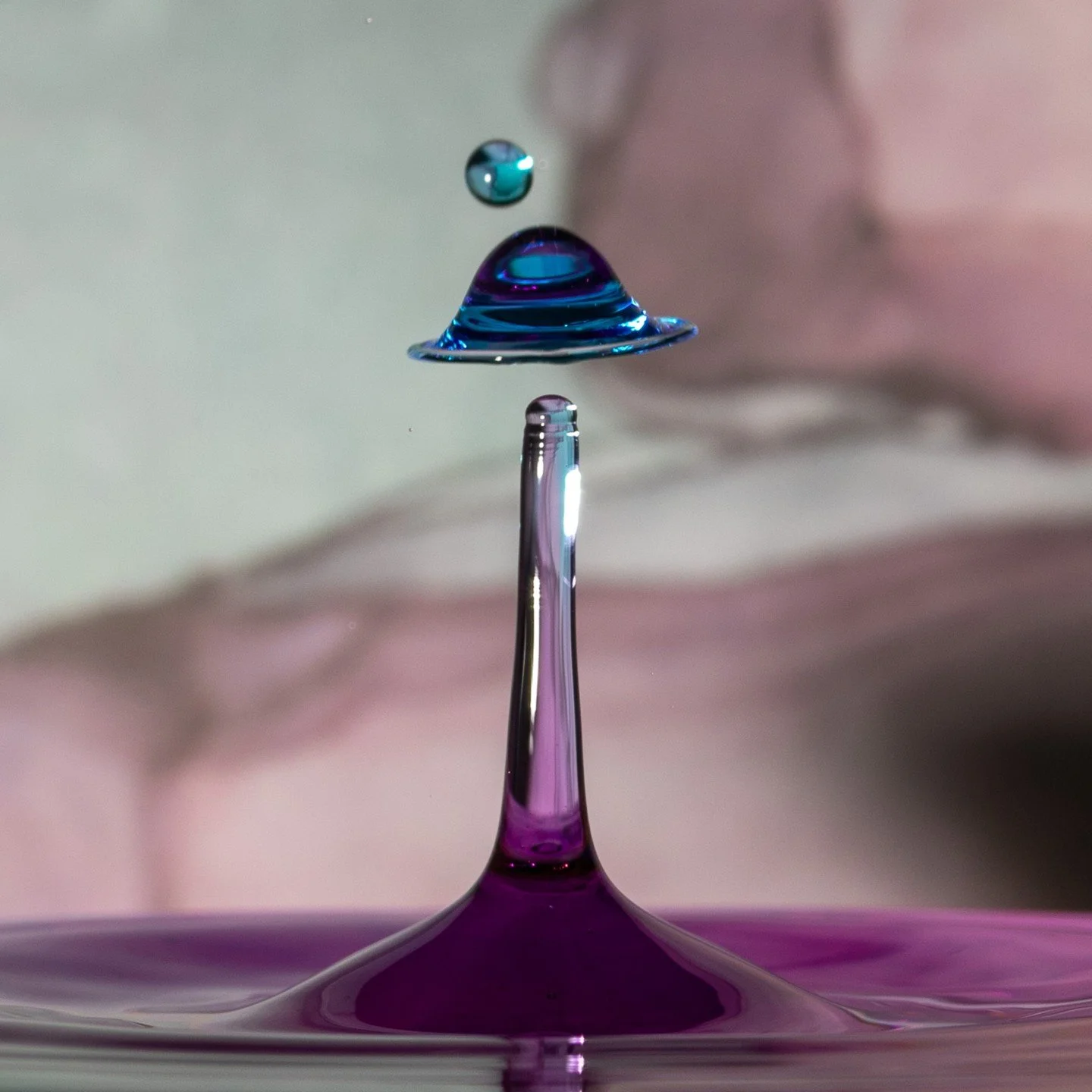 Something a little different today. This is a water drop collision - when two drops hit each other and create wonderful images.