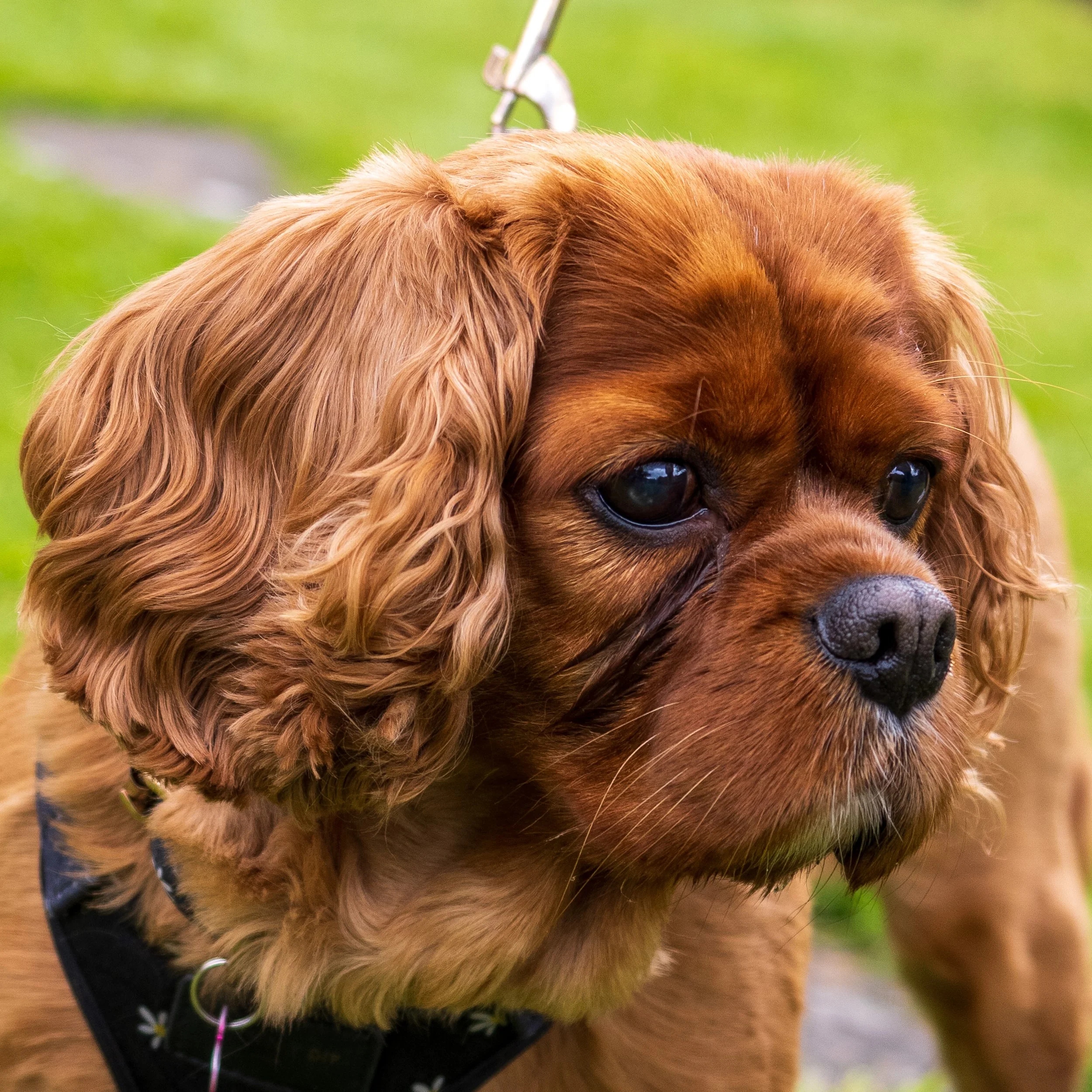 P4270495.jpg