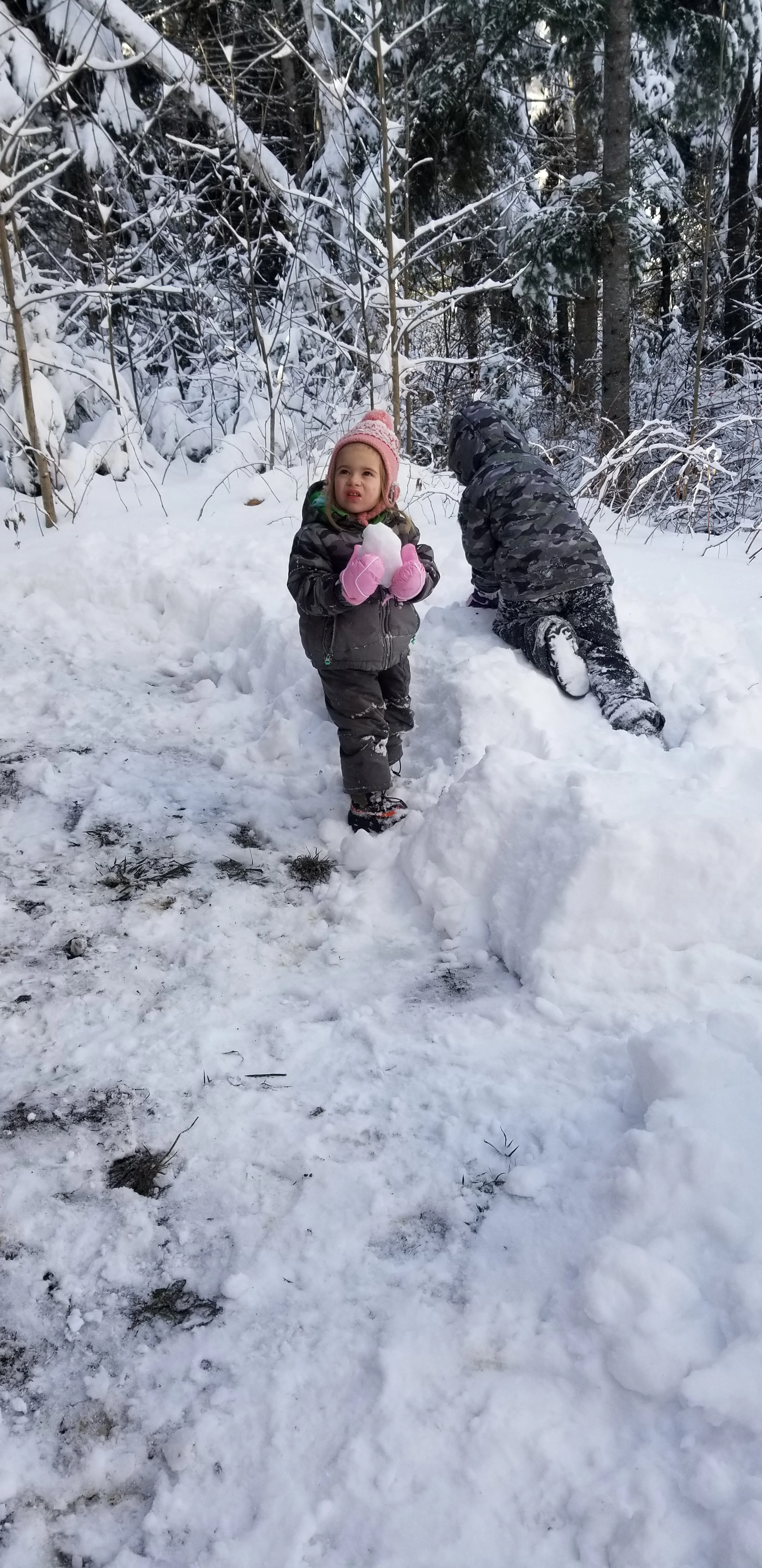 Kids playing in snow