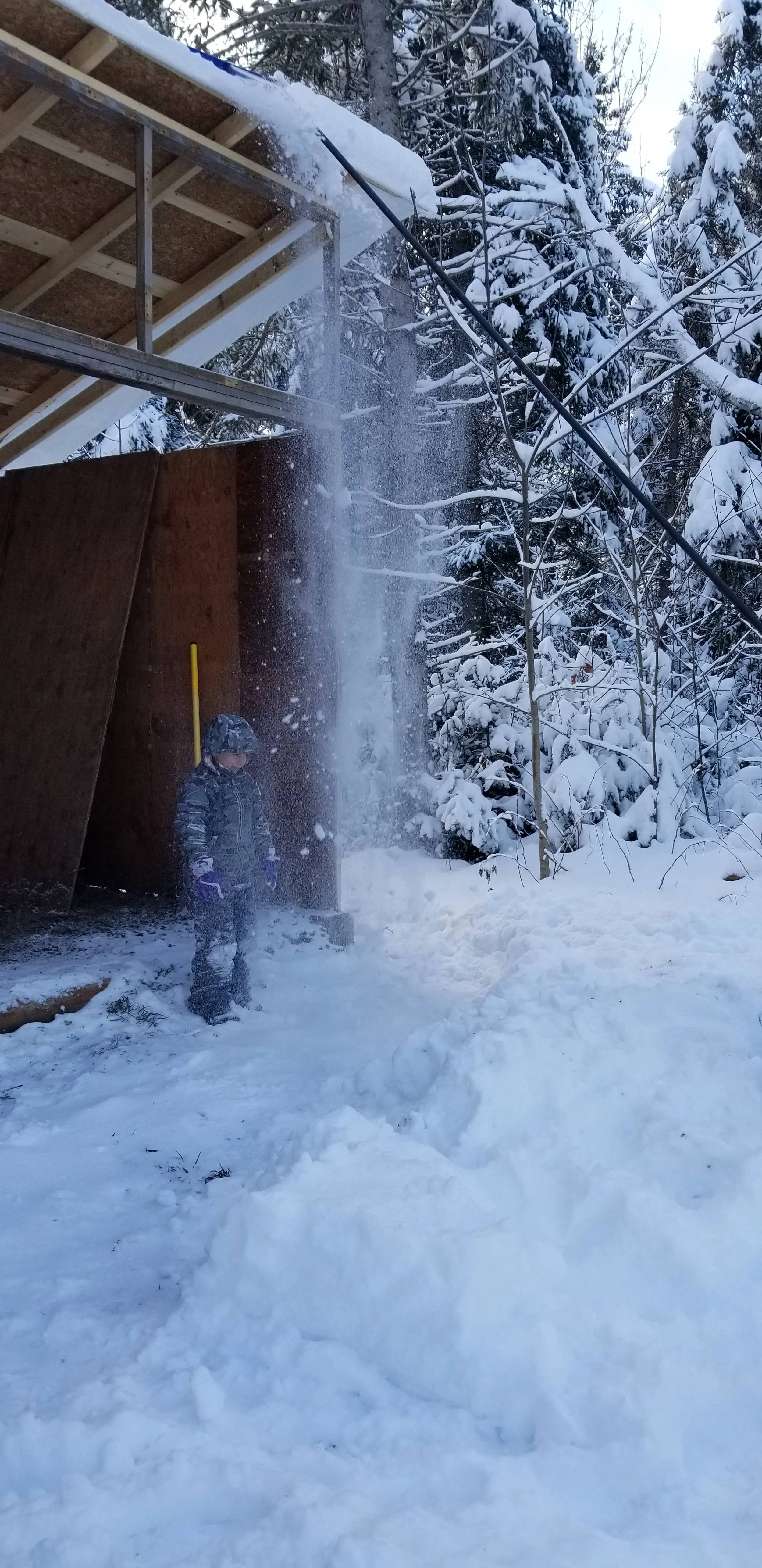 Raking Snow Off Roof