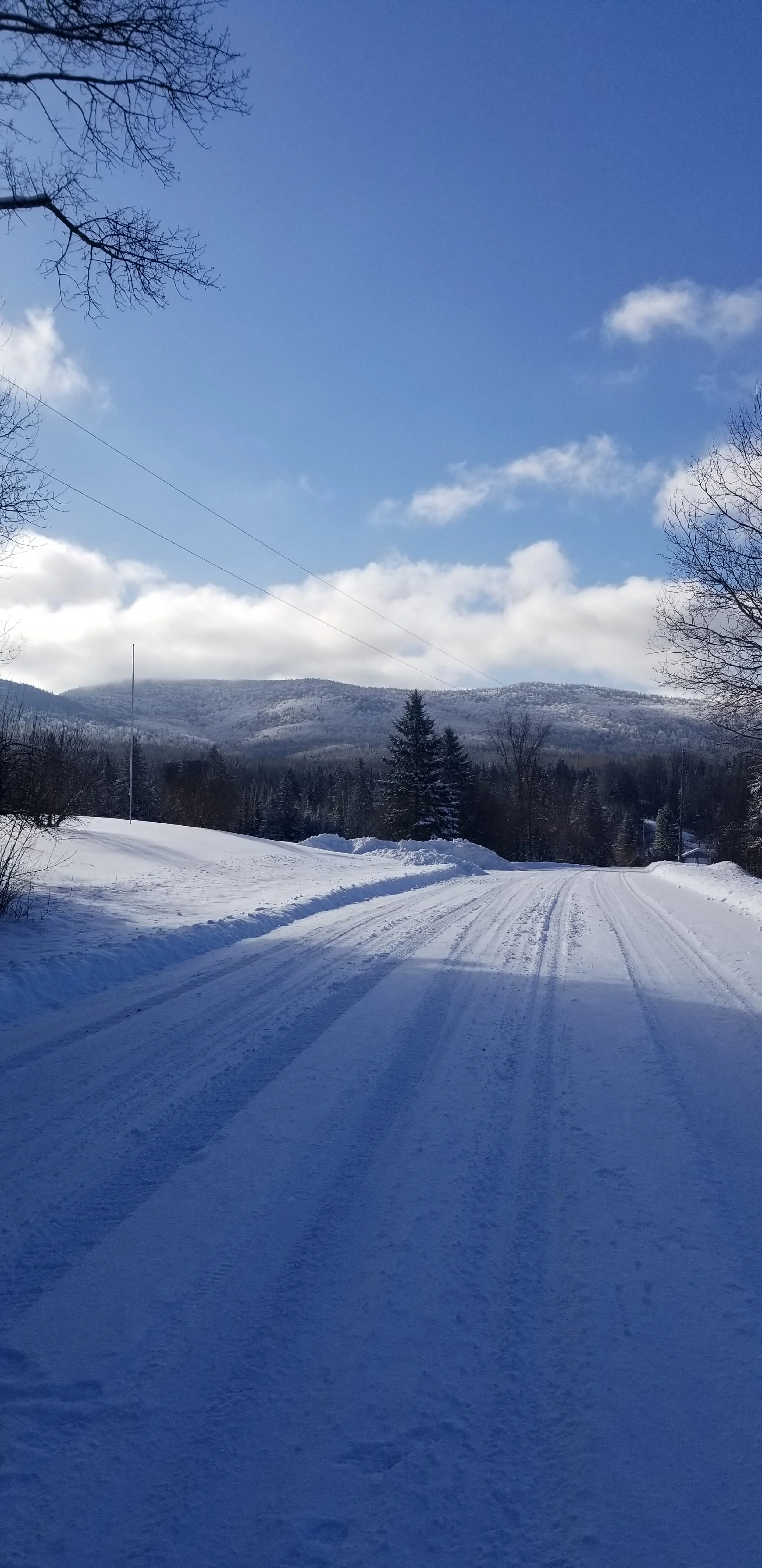 This makes it hard to hate the snow