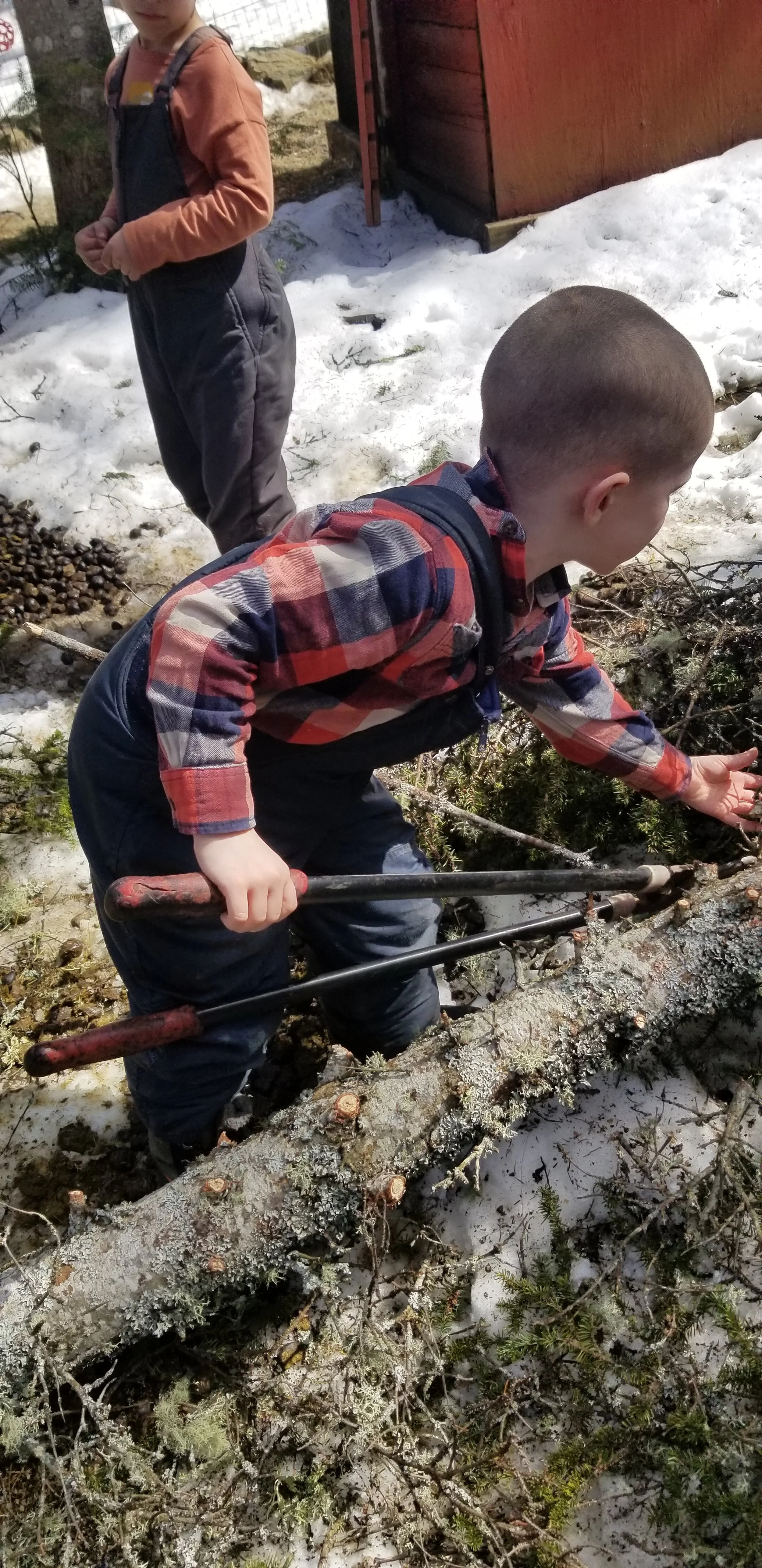 Parker helping cut some branches 