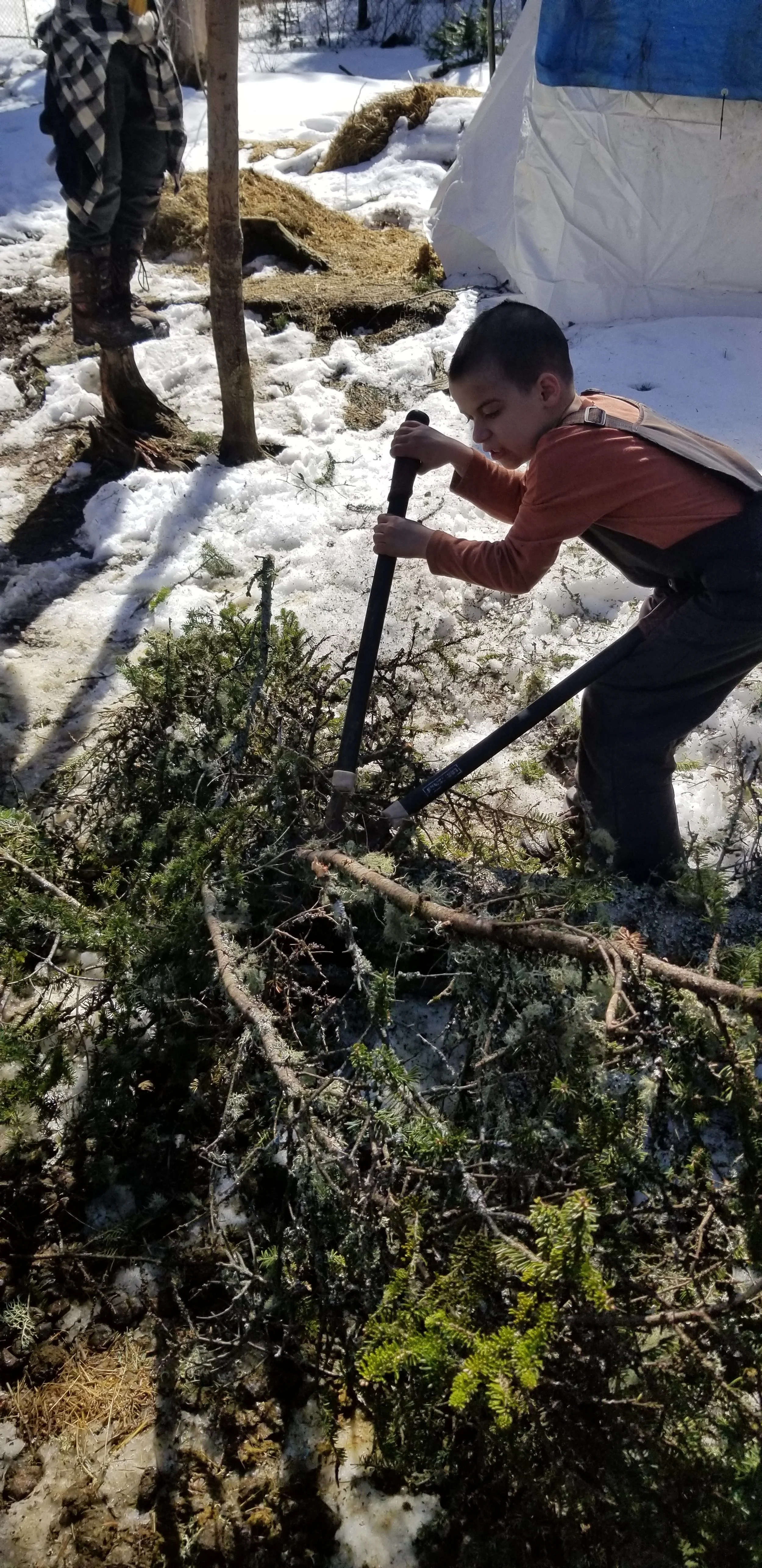 Colton helping cut some branches