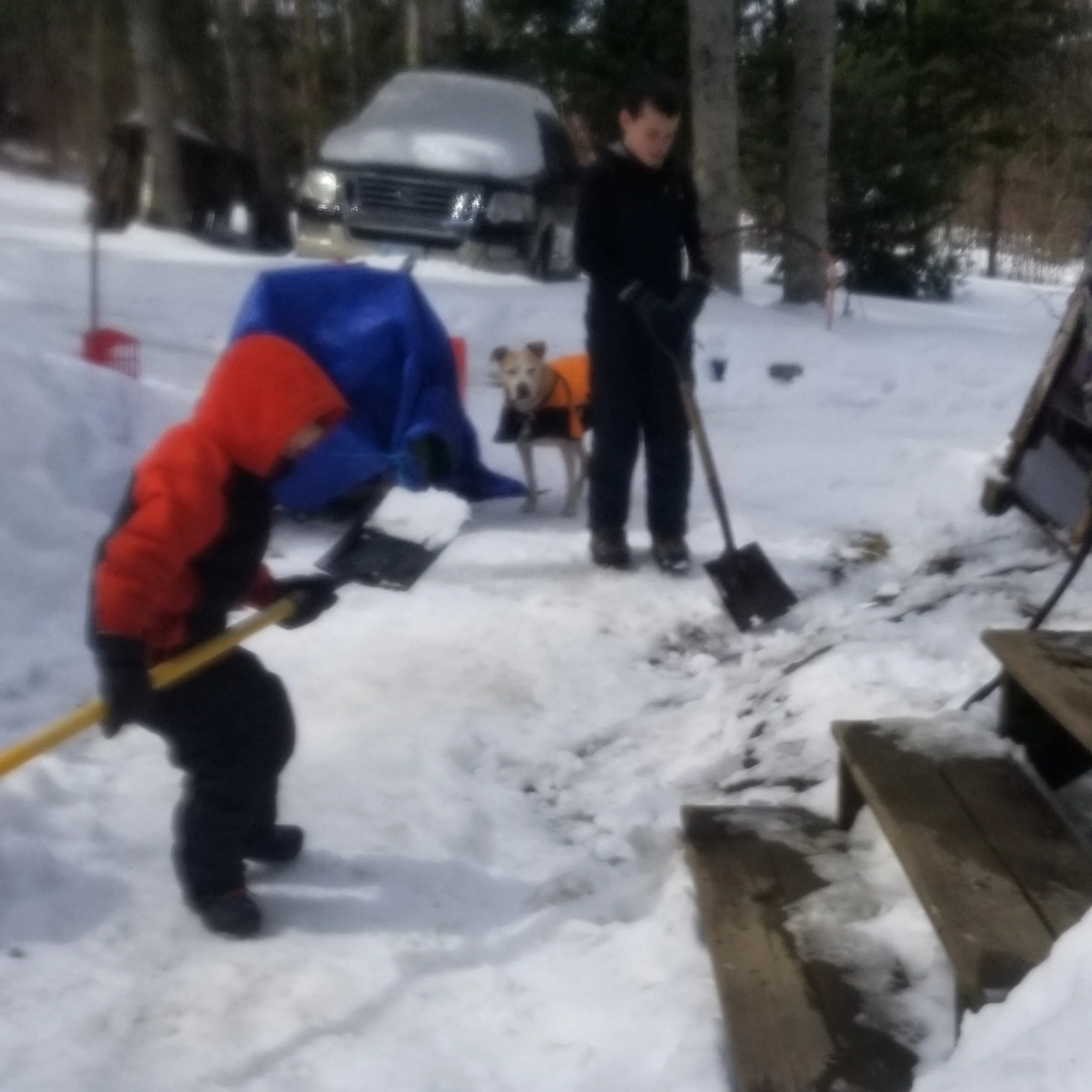 Kids shoveling some snow