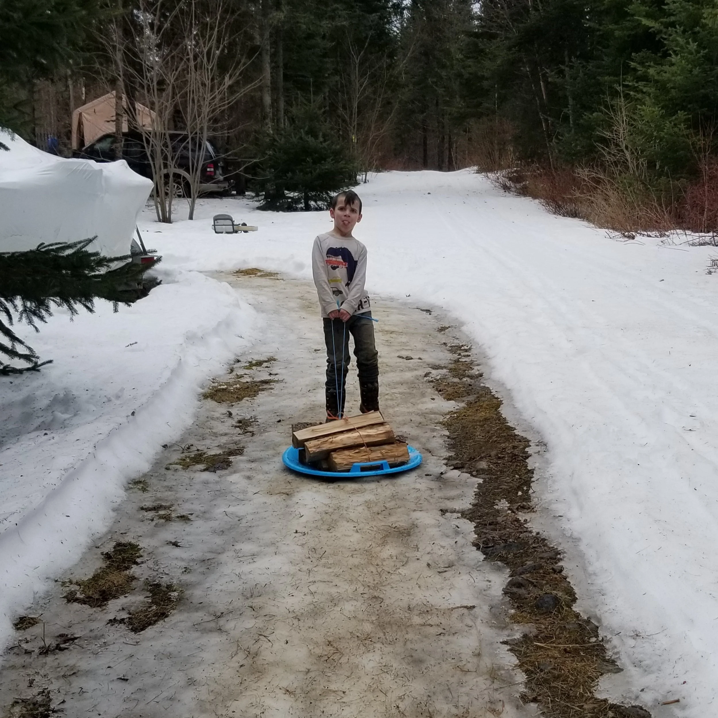 Dragging some wood up to the house