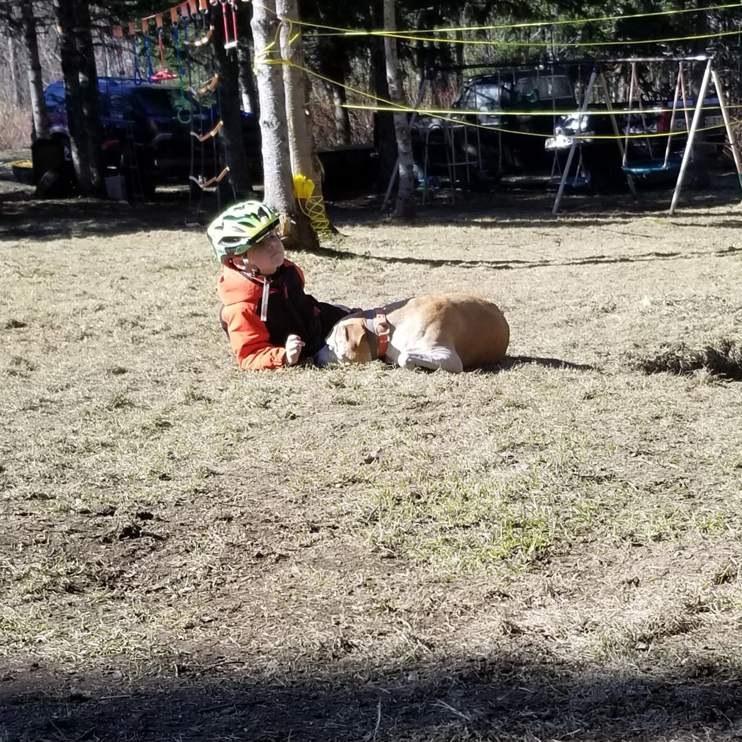 Parker and Roxy enjoying the sun