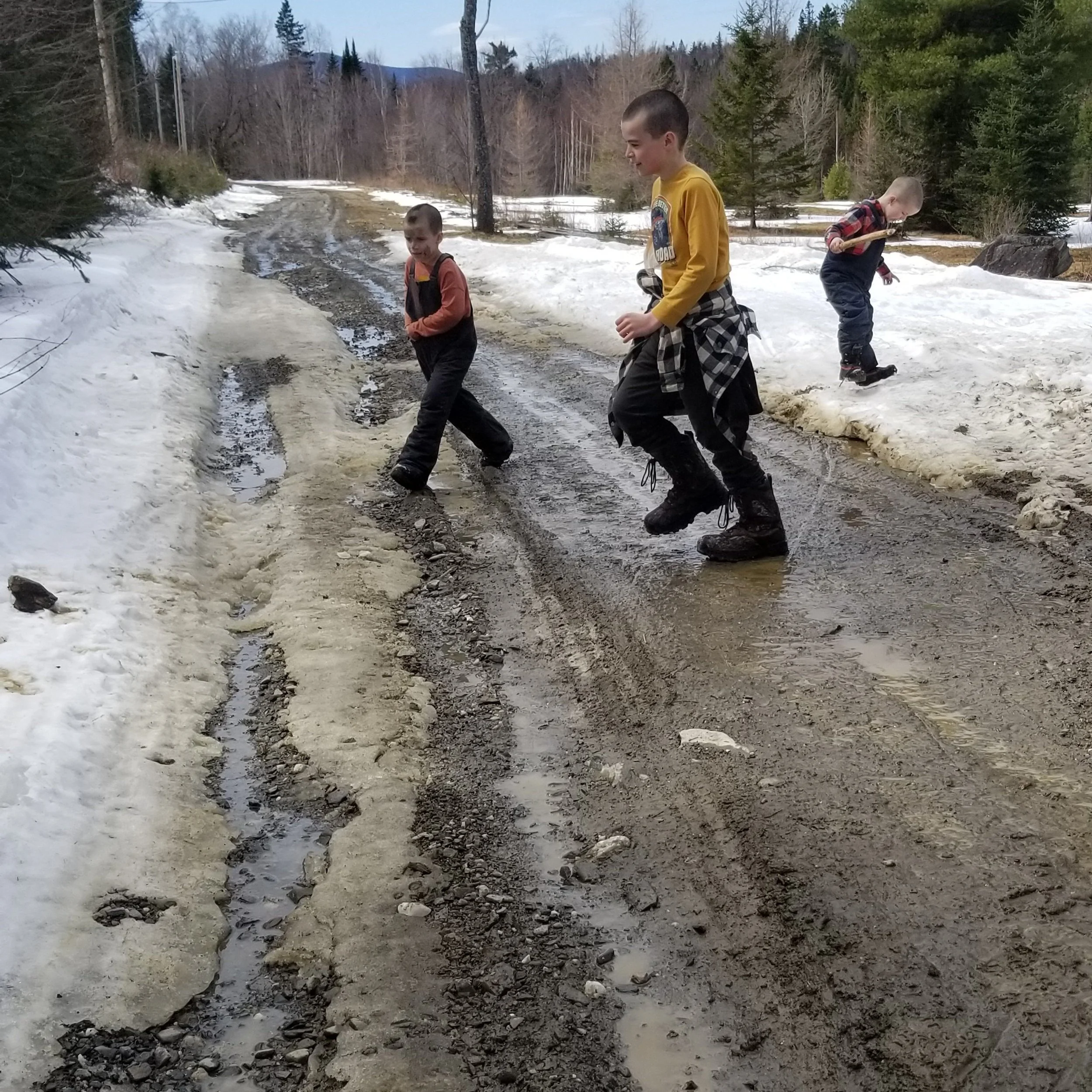 Spring in the mountains