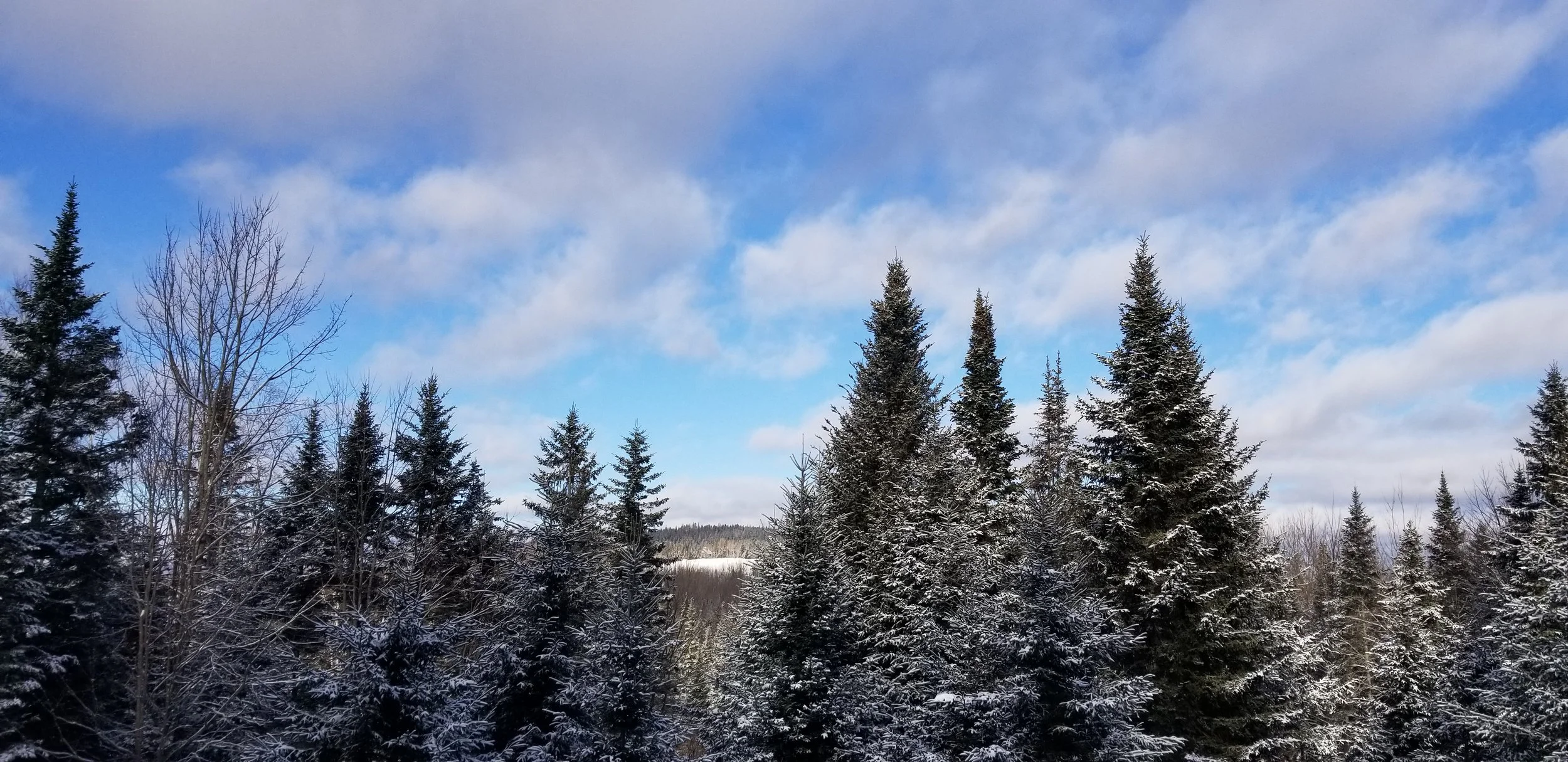 North woods winter mountains