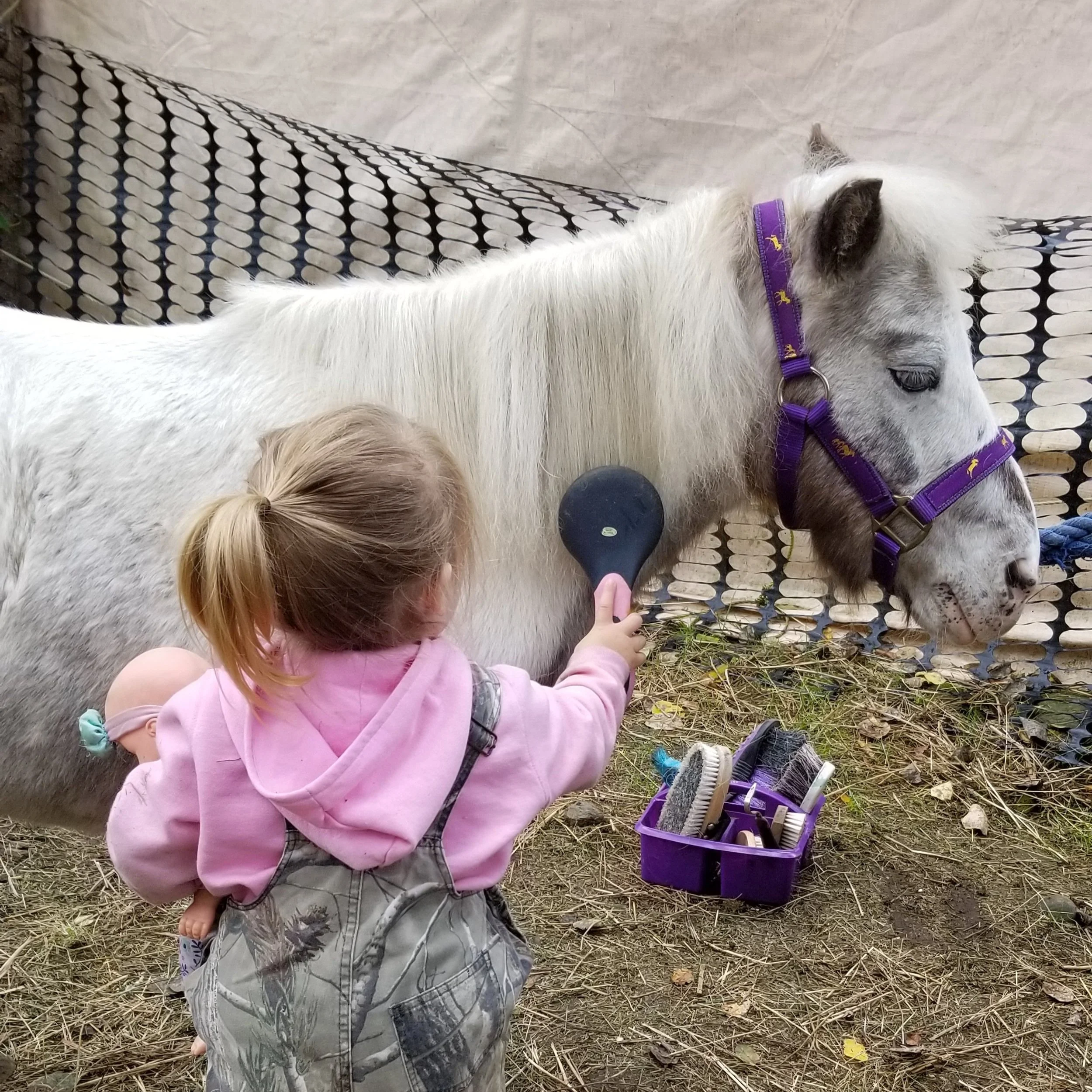 Our daughter and her pony