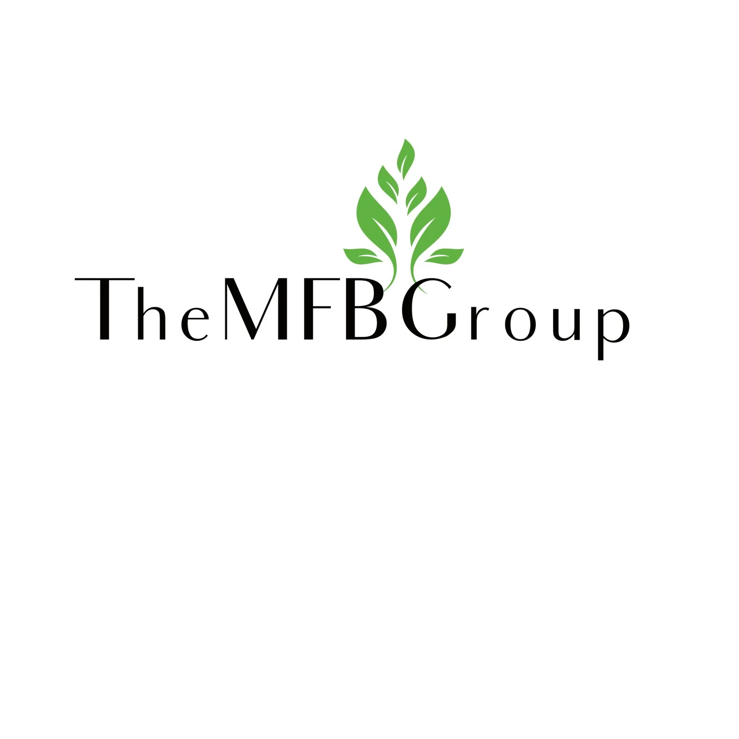 The MFB Group