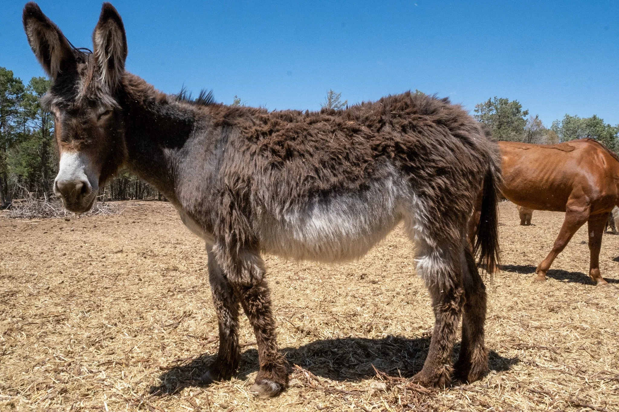 upload may 29-486.jpg