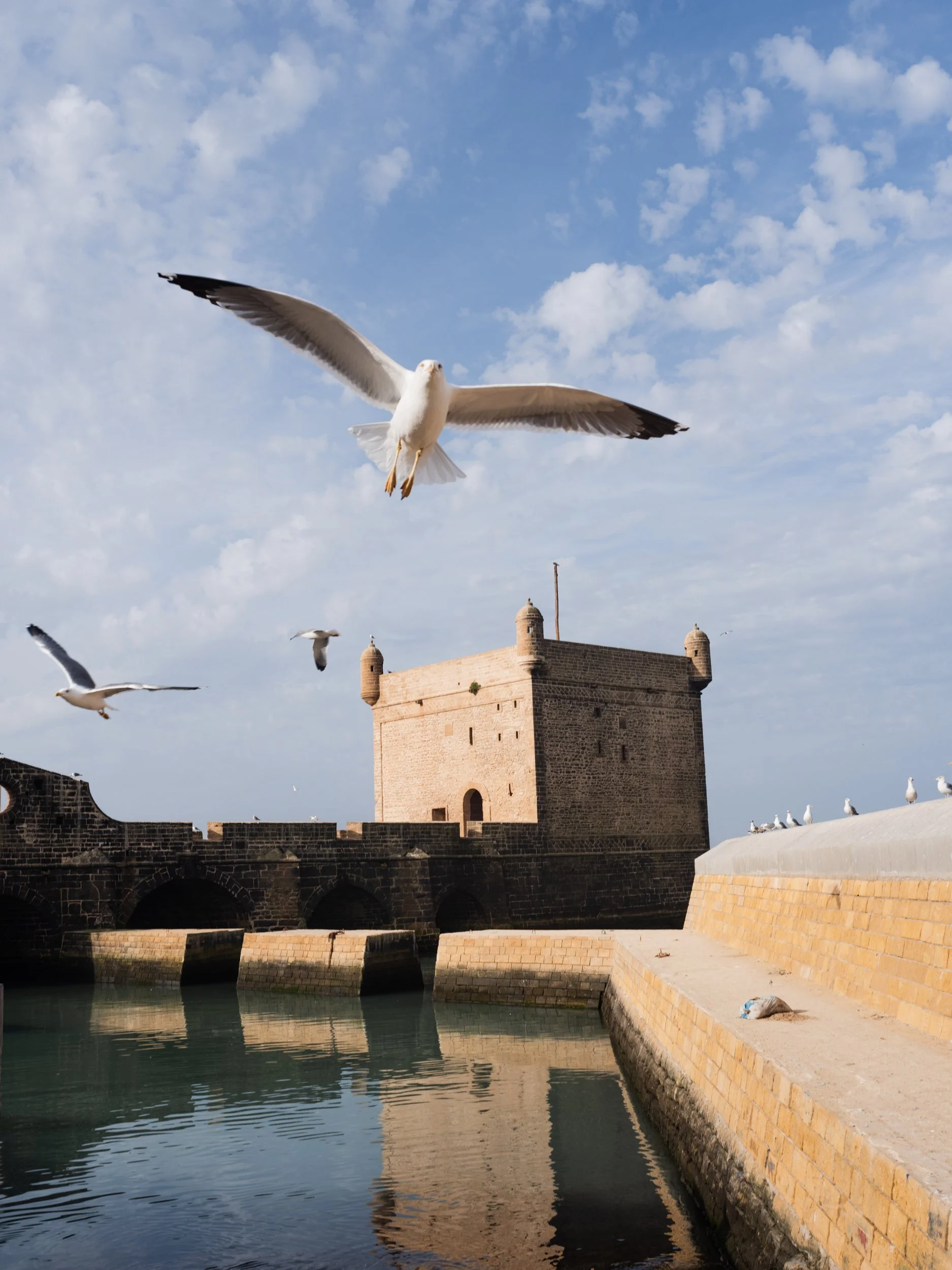 citadel-essaouira-monocle-17.jpg