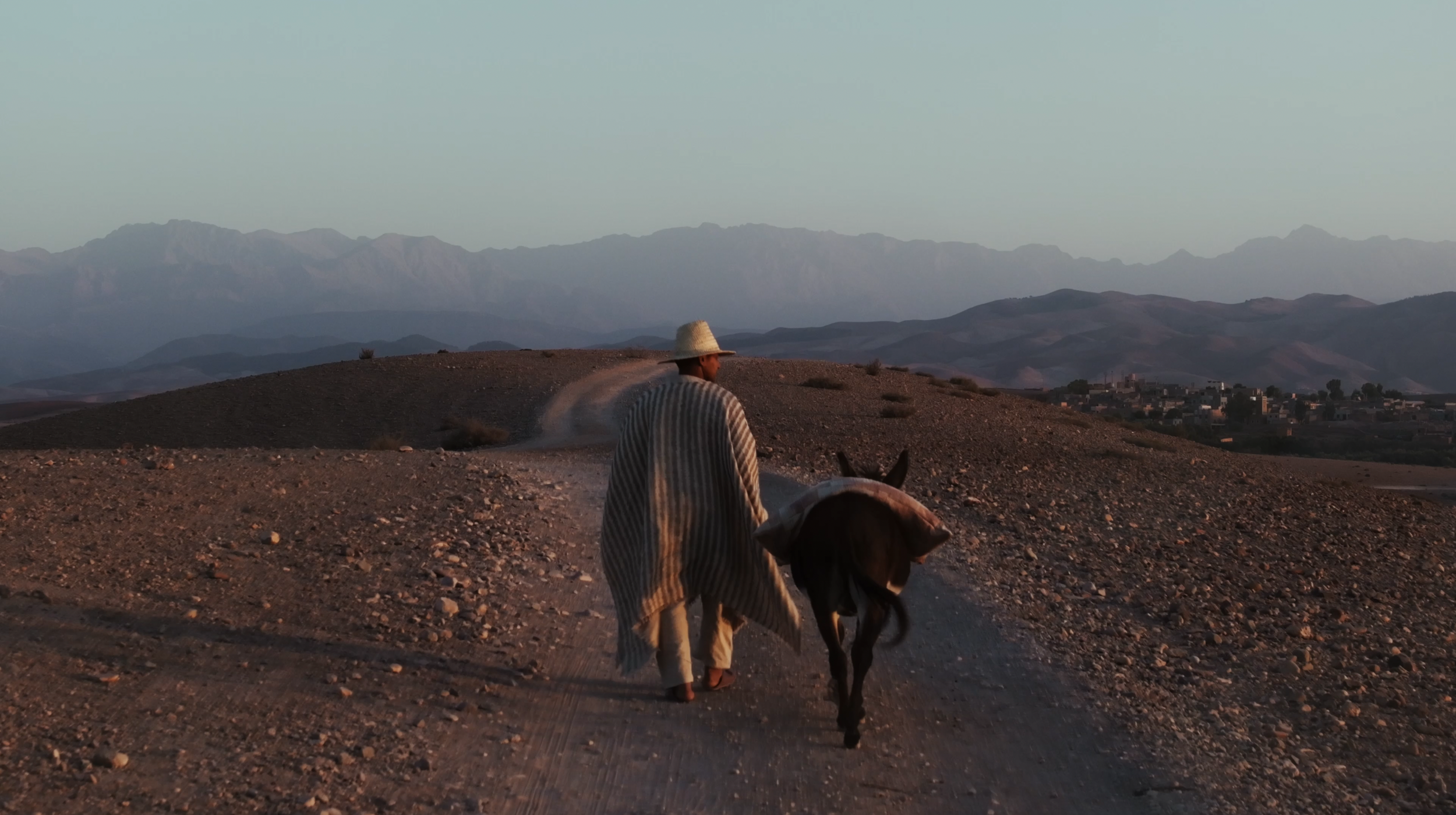 Screenshot 2026-02-02 at 10.59.18 AM.png