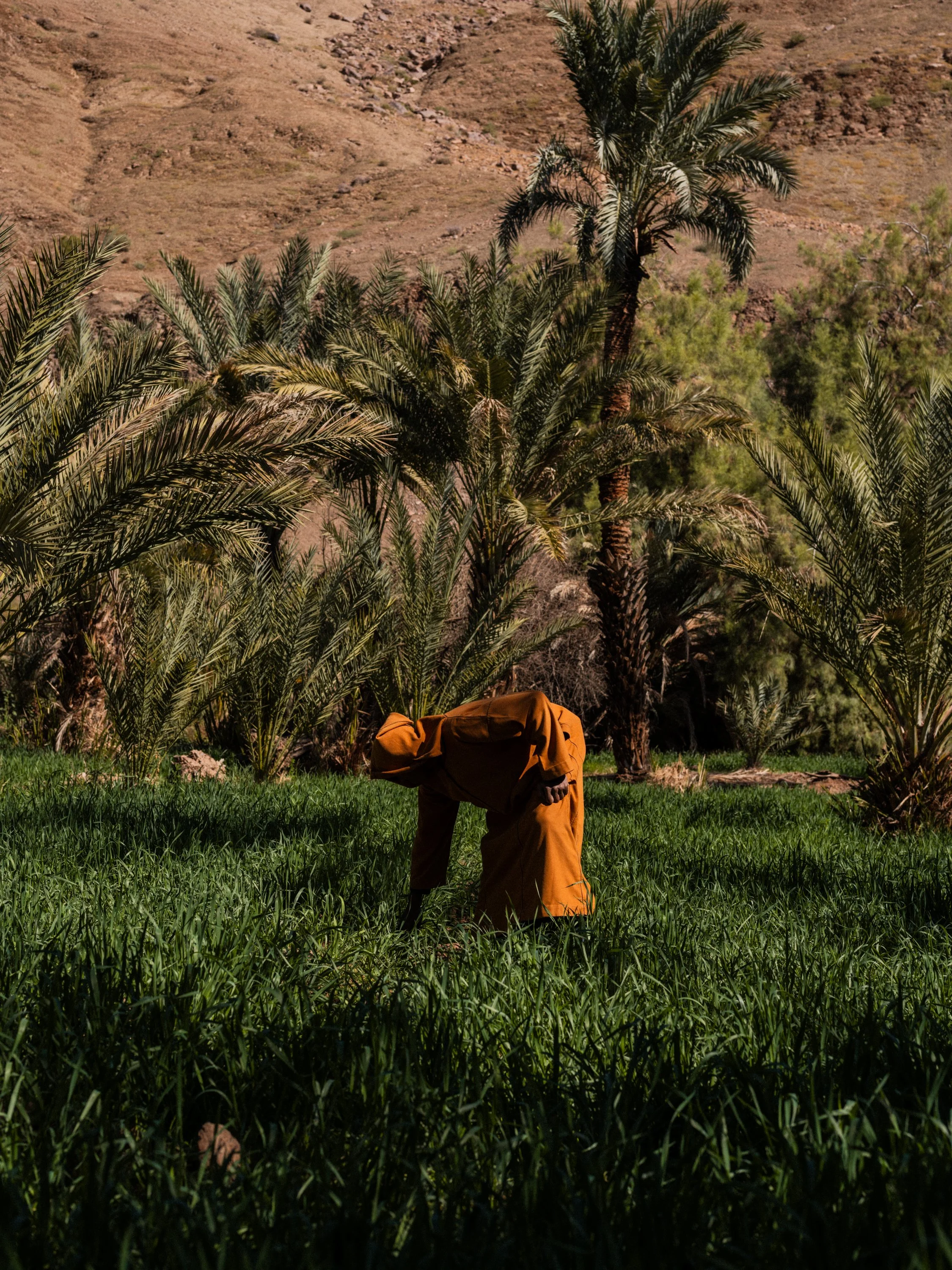 kasbah-campaign-026.jpg