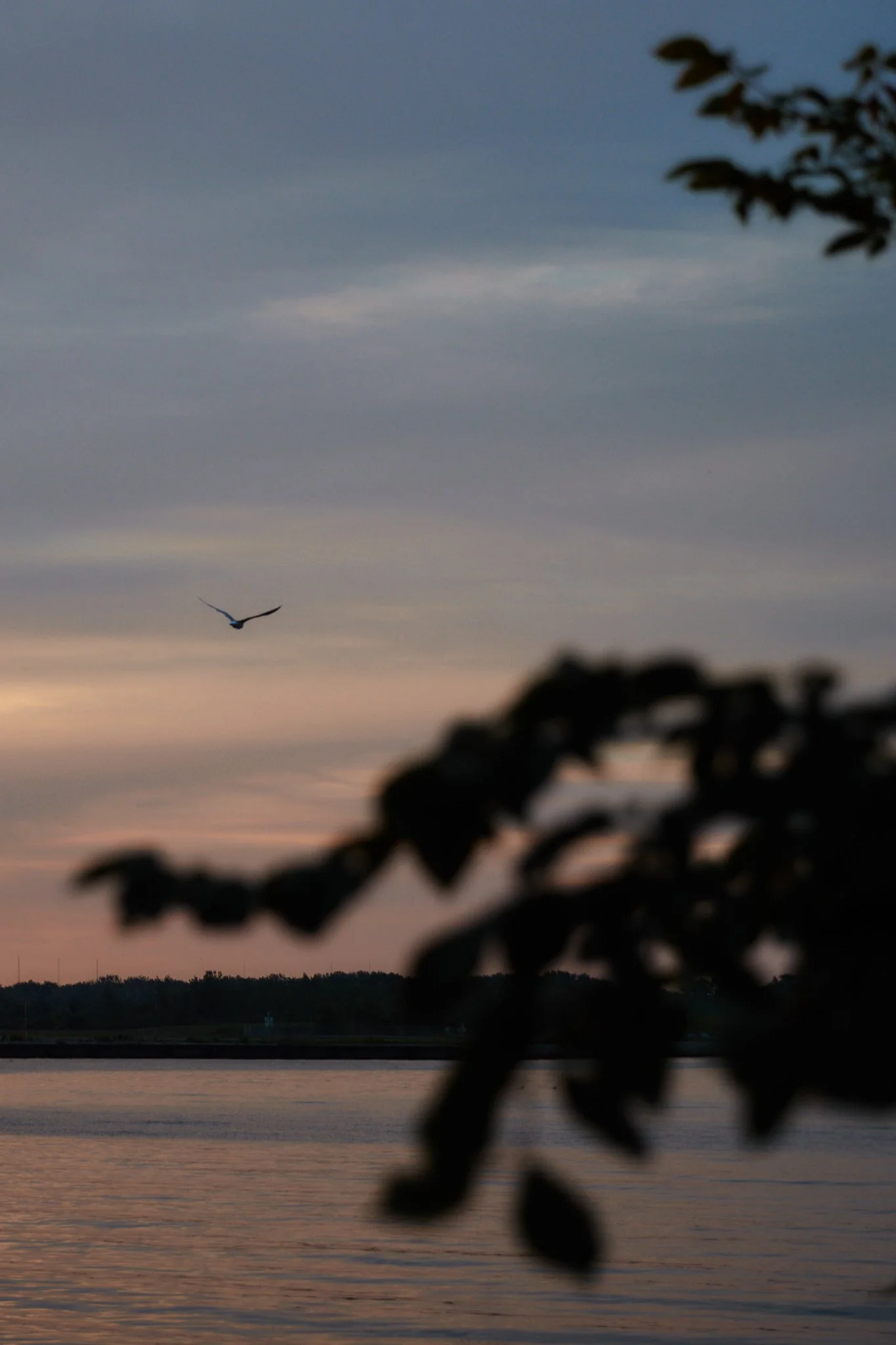 __G0I7958_selects.jpg