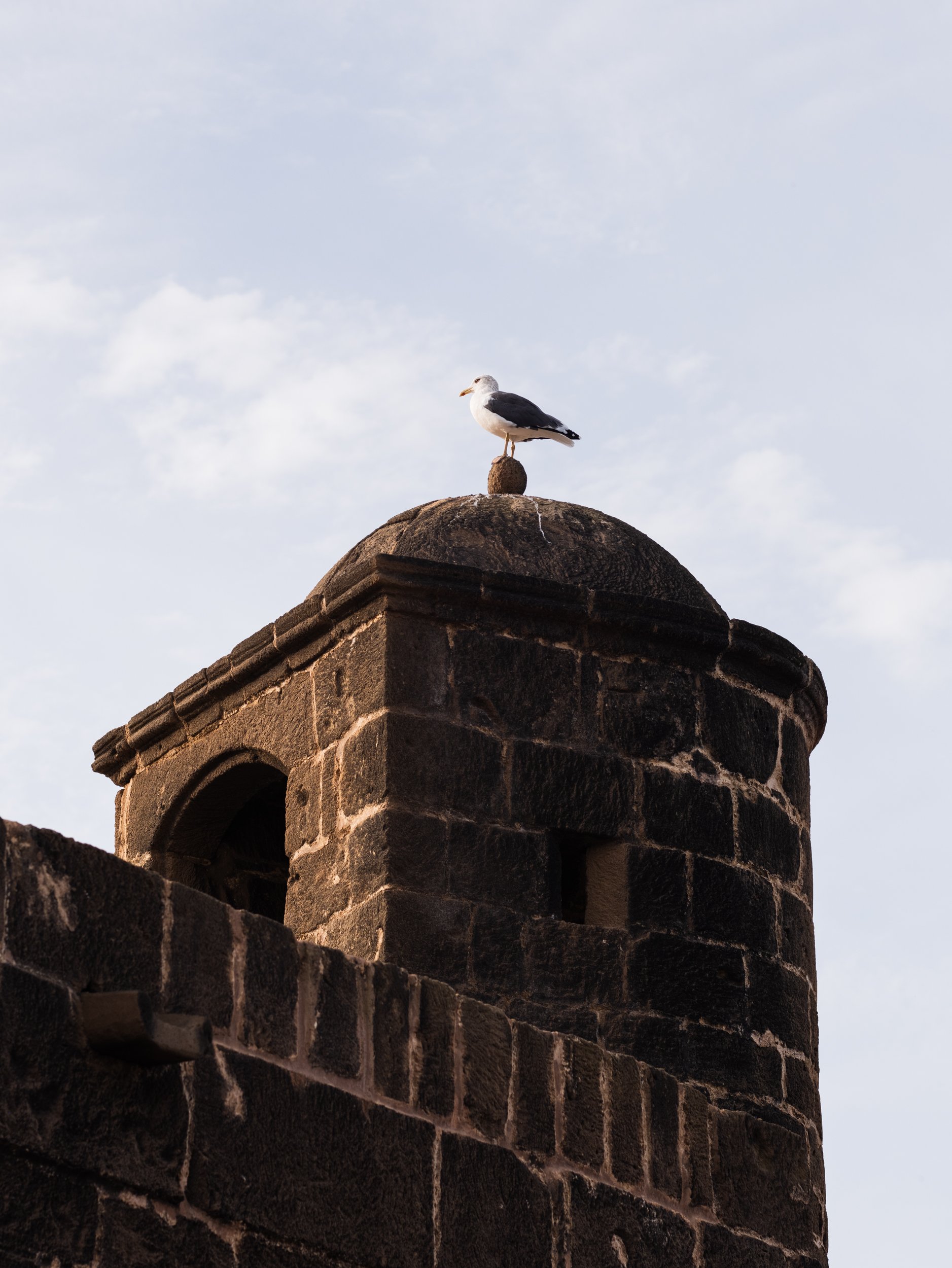 citadel-essaouira-monocle-11.jpg