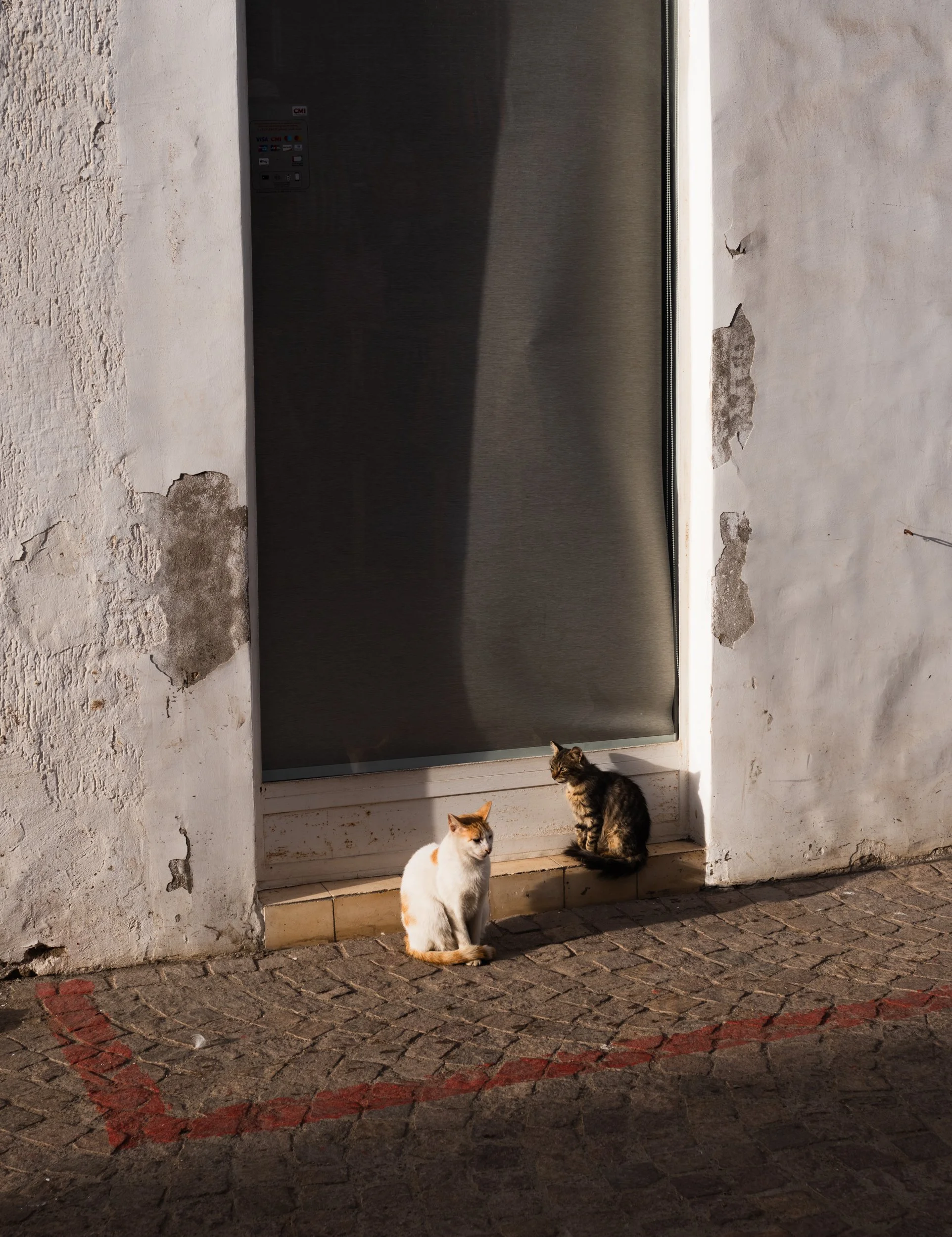 citadel-essaouira-monocle-15.jpg
