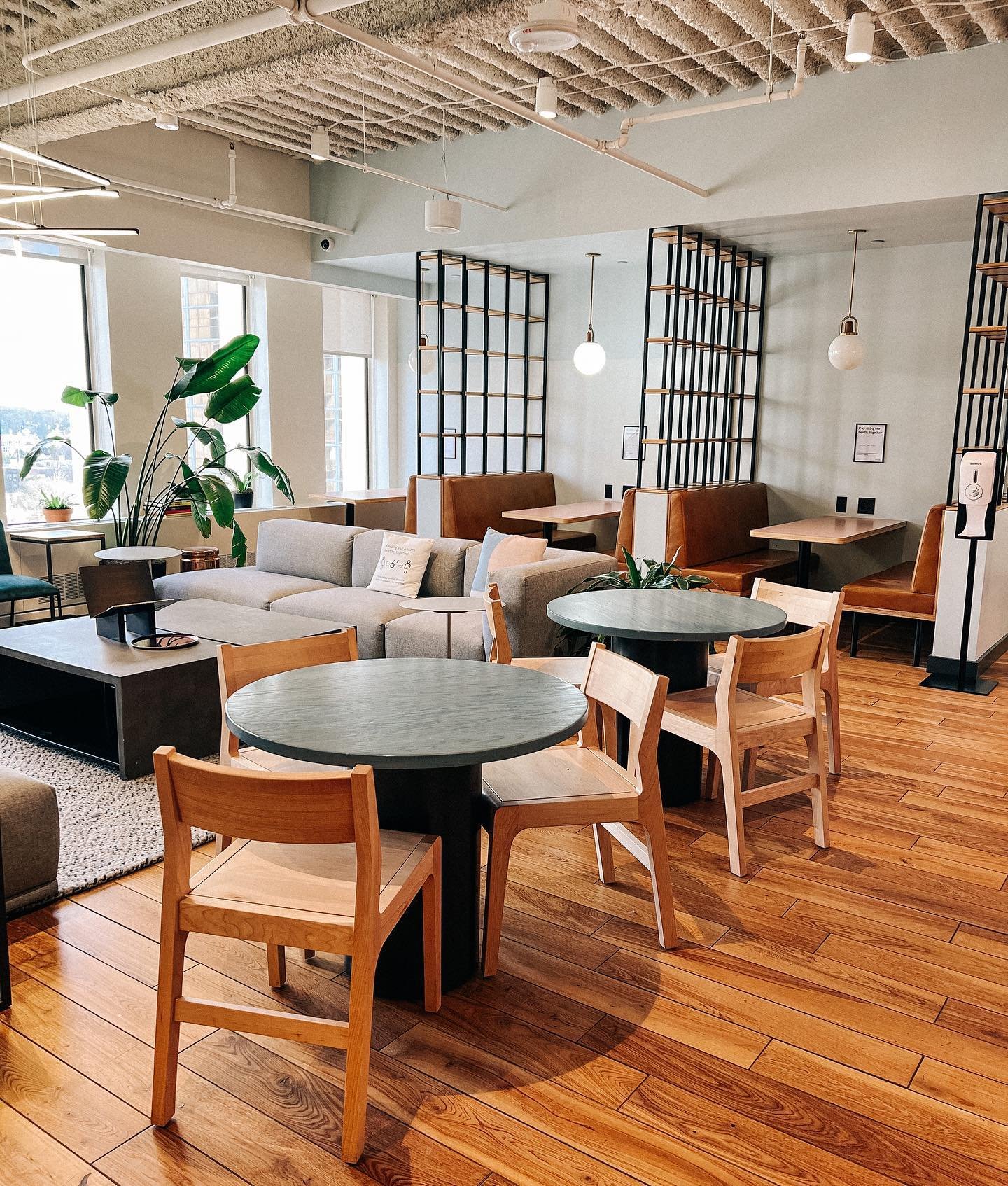 [image] - 6366055.jpeg