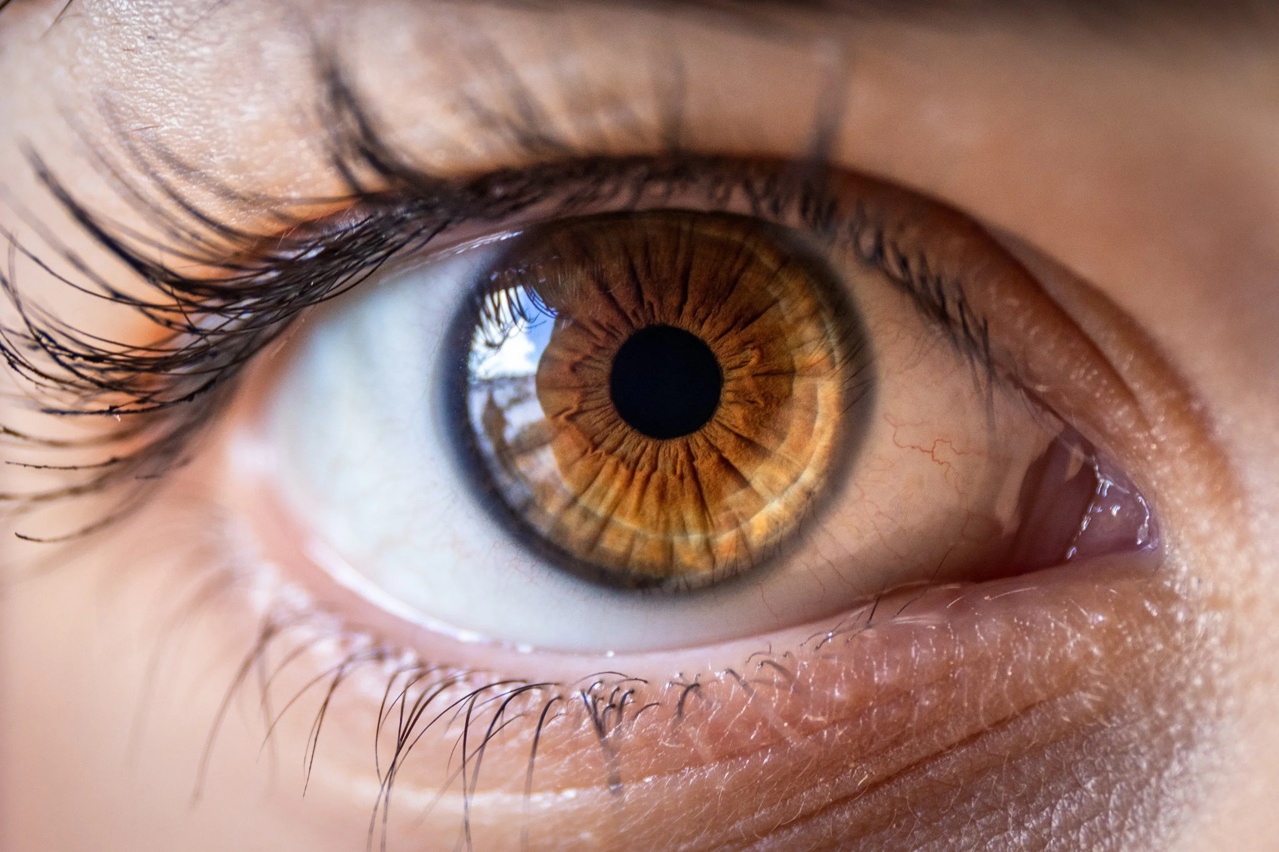close-up image of a brown eye, symbolizing awareness and the EMDR therapy process, which historically involved bilateral eye movements.