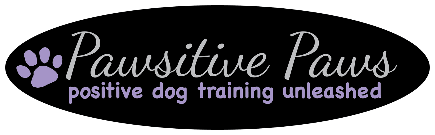 Pawsitive Paws San Diego Dog Training
