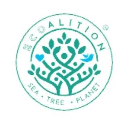 Untitled (Instagram Post) (17).jpg