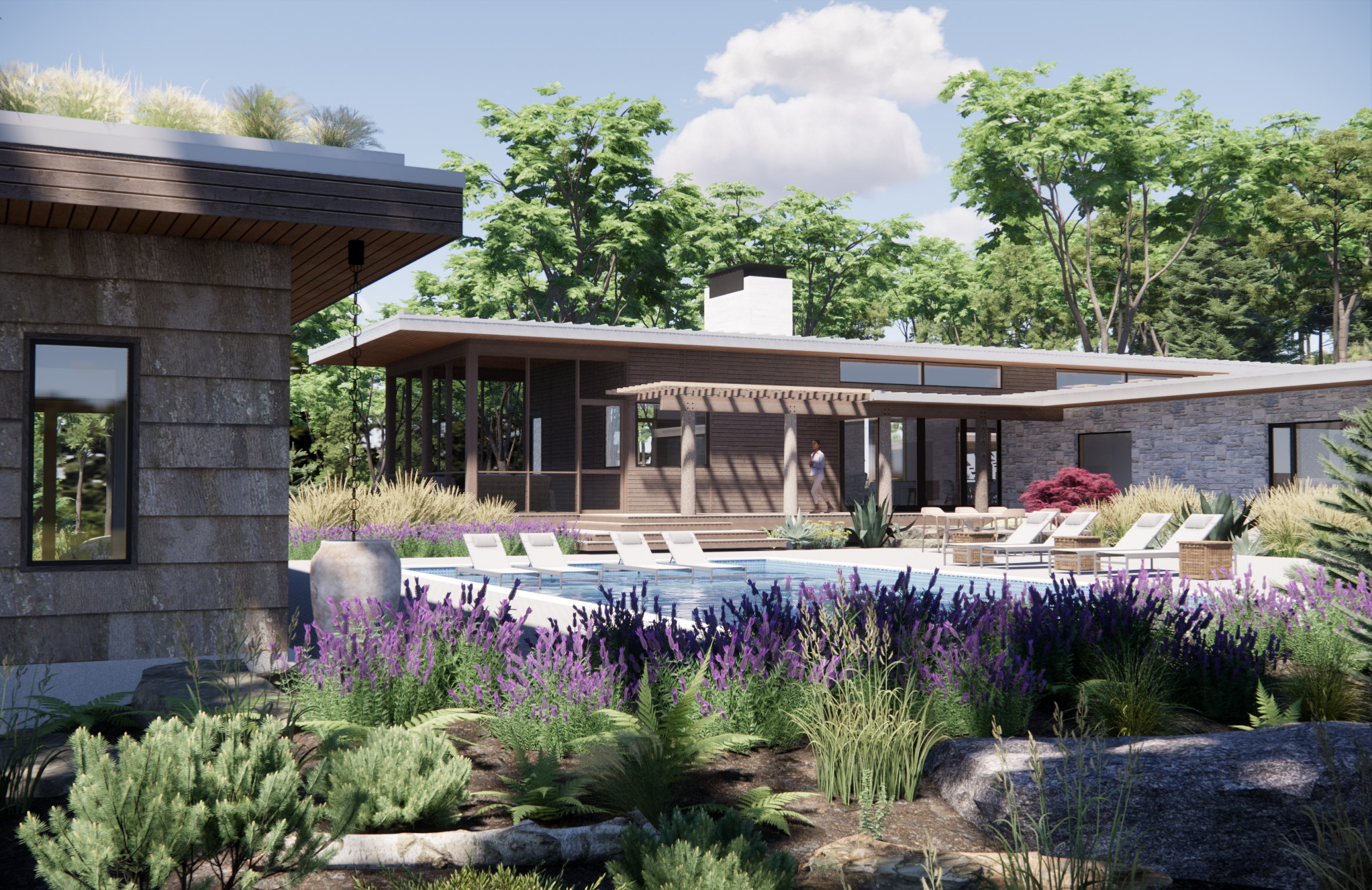 Modern house with a pool, lounge chairs, and lush landscaping with purple and green plants, surrounded by tall trees.