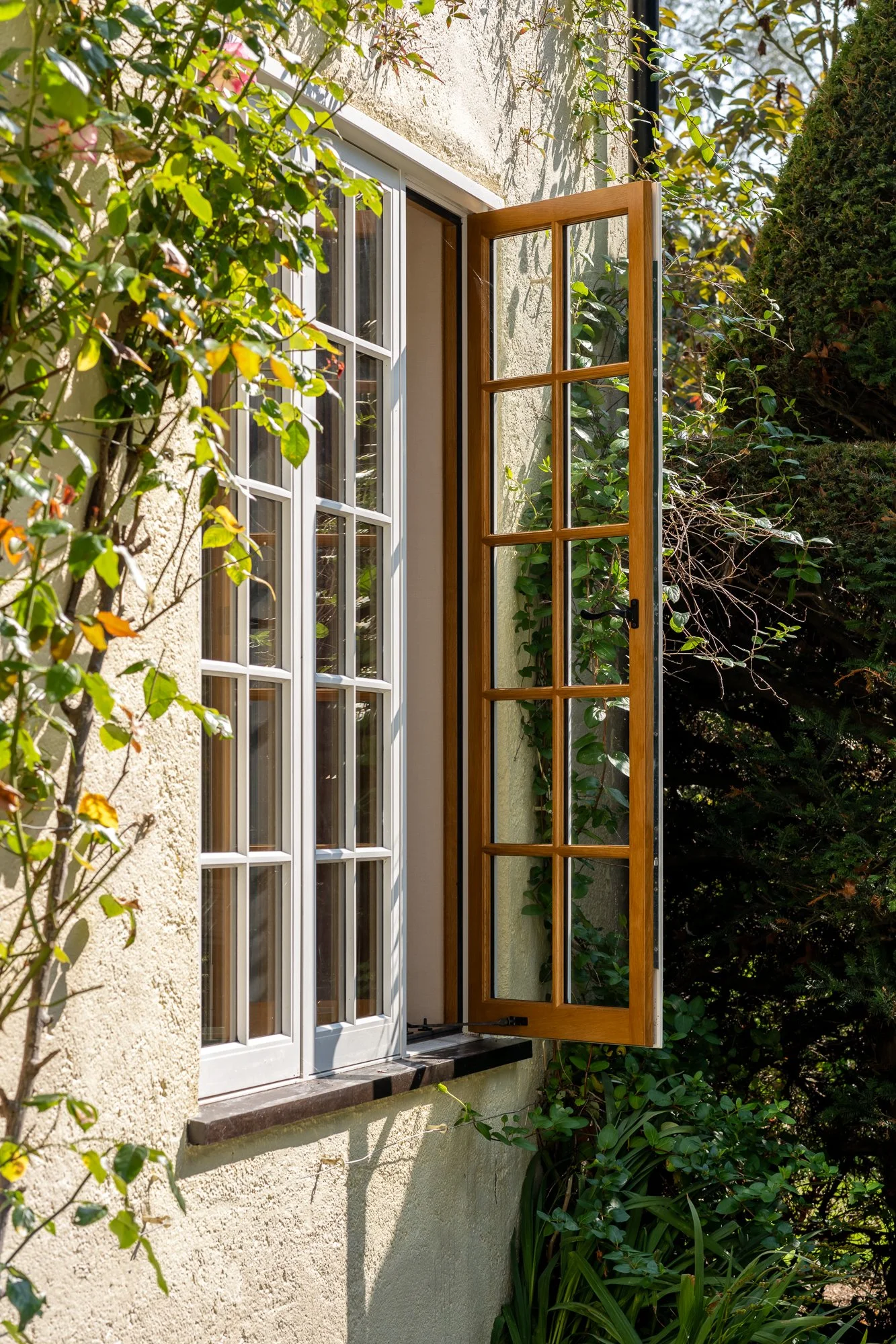 An exterior view of a traditional timber casement window opened onto a leafy garden. The image highlights the natural wood frame, classic window proportions and the relationship between the home’s interior and surrounding greenery.