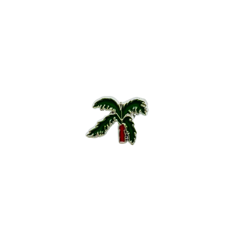 Disney World Safety Tips for Kids Who Wander