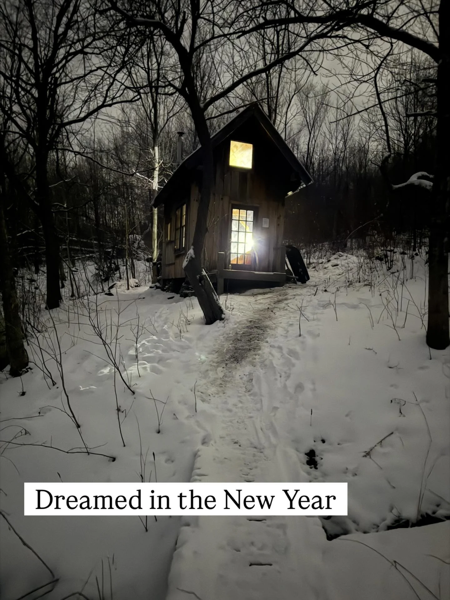 Finally got organized enough to book a @vermonthuts cabin for NYE, and it really was the dreamy, cozy, vibe I&rsquo;ve always wished for and the kids loved it, too. Such a perfect way to start the new year. 10/10.