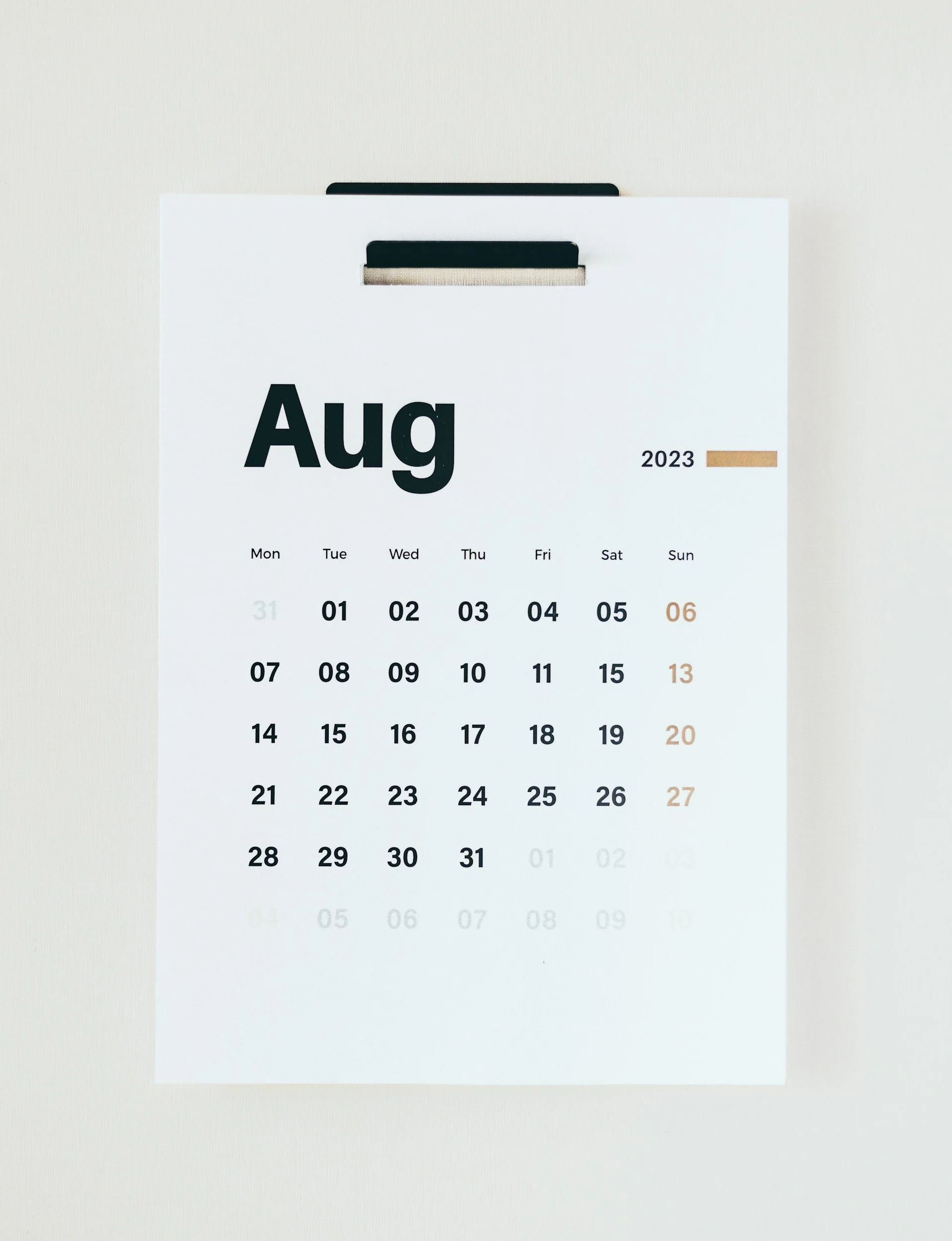 Read the Bible in a Year