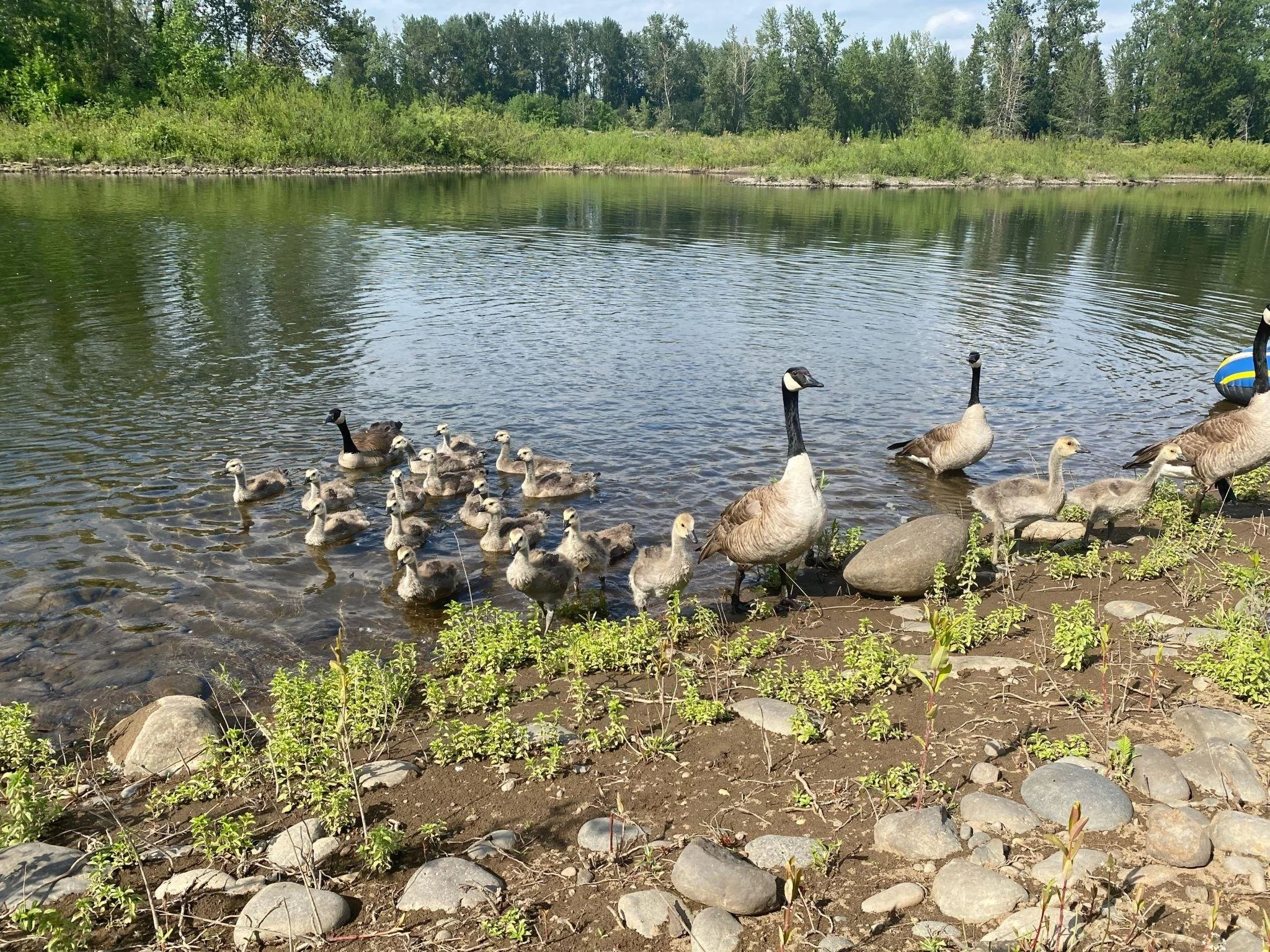 Spring Is Calling: What’s Biting, What’s Blooming, and What’s Happening at White River