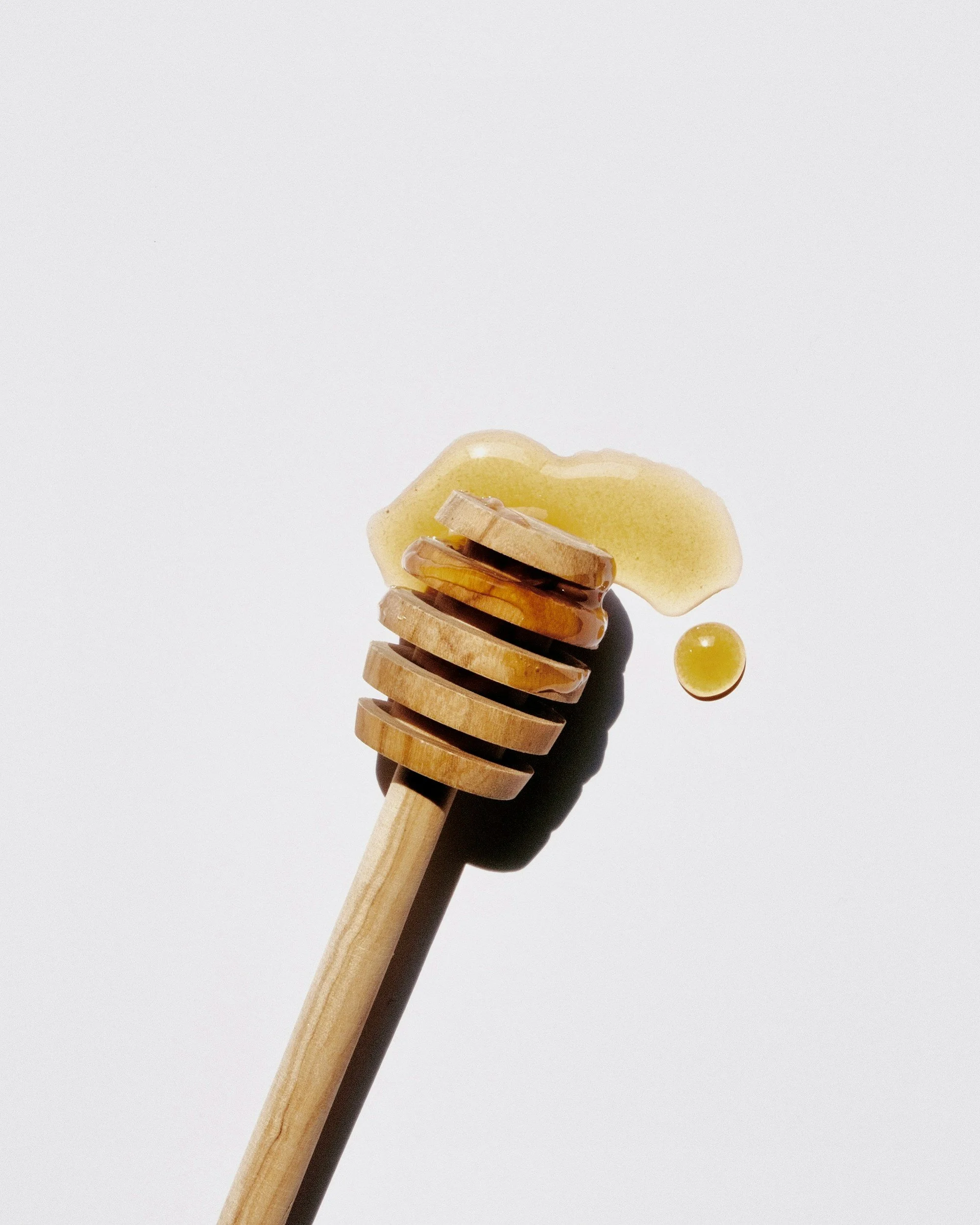 The Bee’s are Back!