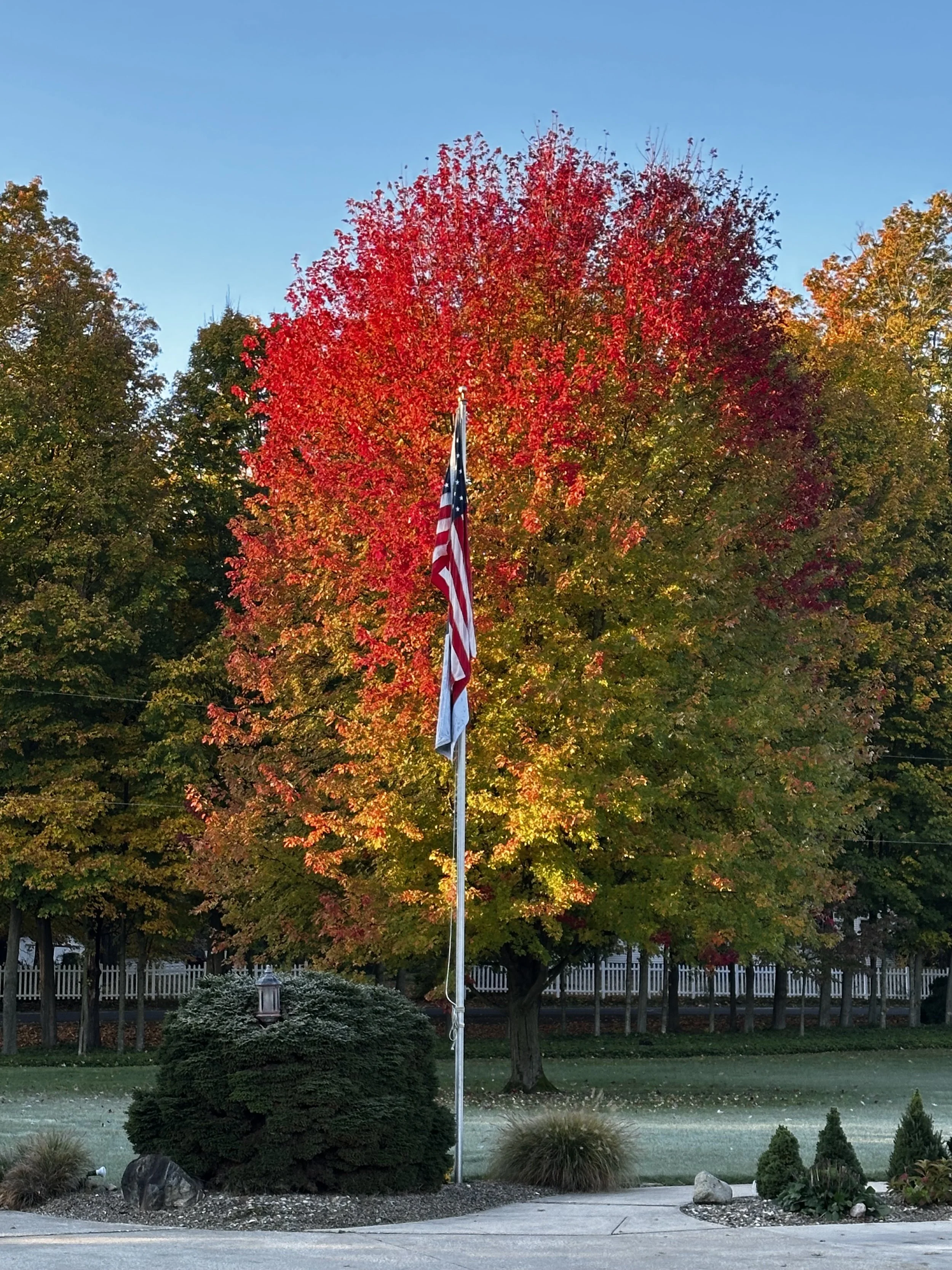 A Michigan Fall Walk