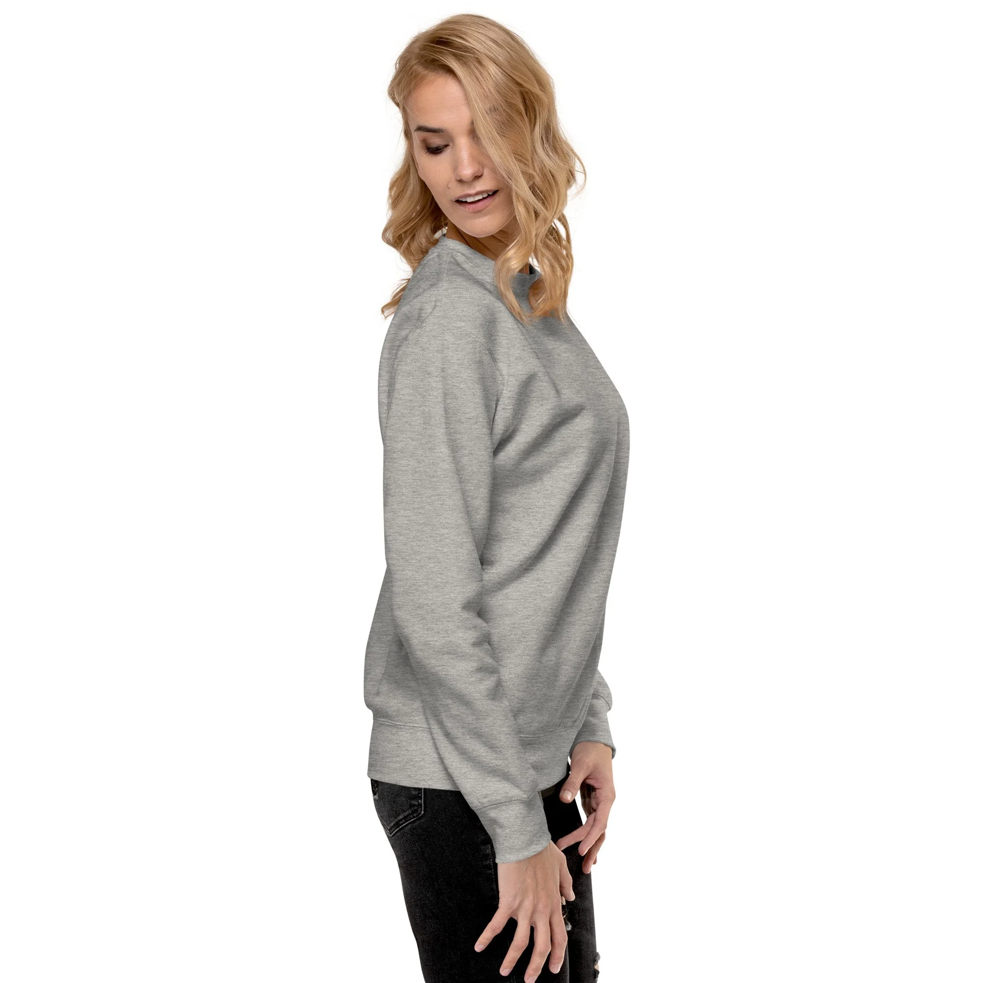 unisex-premium-sweatshirt-carbon-grey-right-65aafffa16e38.jpg