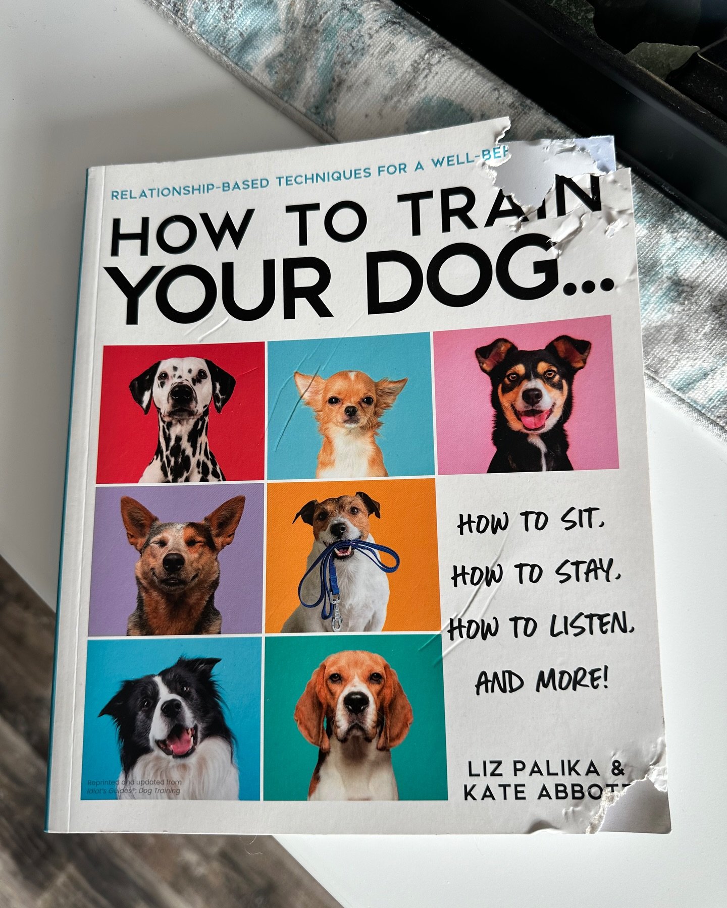 During our first training session, one of my new clients said &ldquo;I need your help&rdquo; and showed me this. Definitive proof that dogs have a sense of humour 🤣
