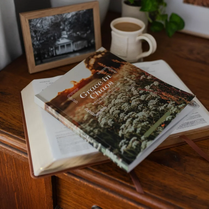 The Daily Grace Grace in Chaos III.webp