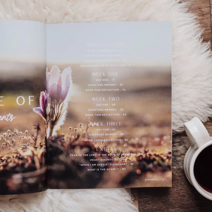 The Daily Grace When Fear Meets Faith I.webp