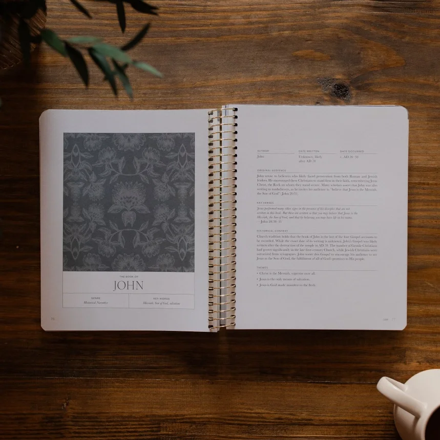 The Daily Grace A year in the bible II.webp