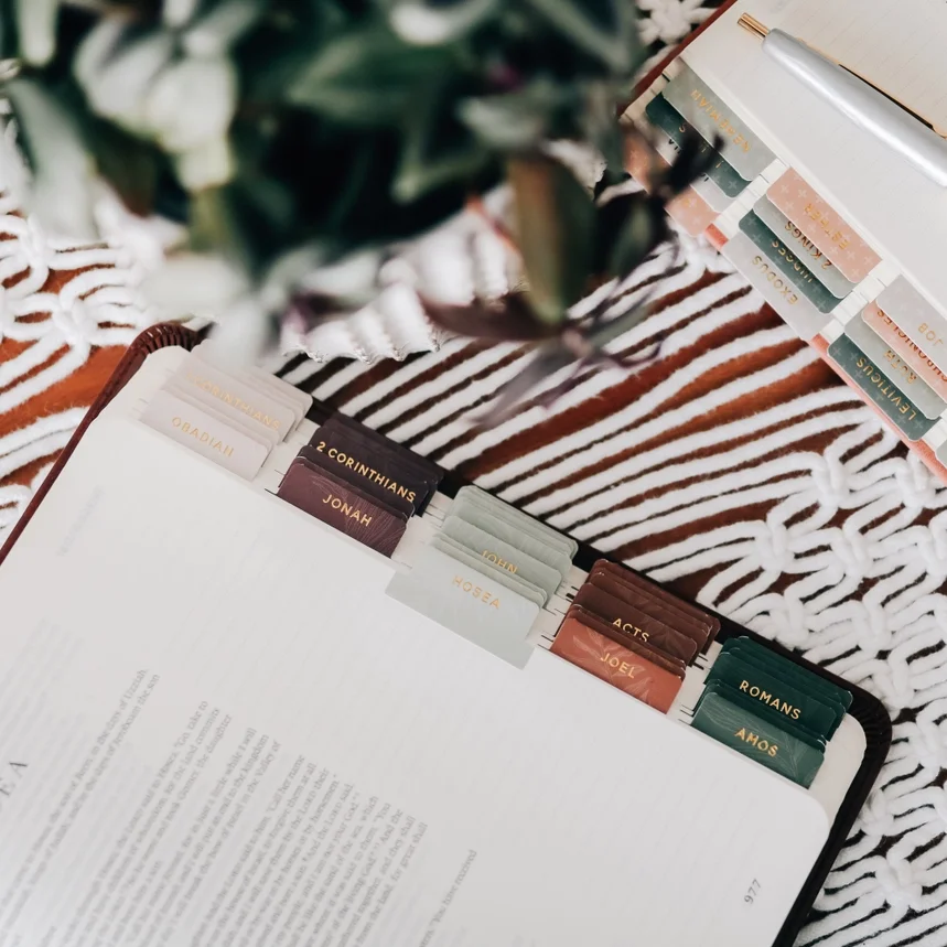 The Daily Grace Jewel Bible tabs III.webp