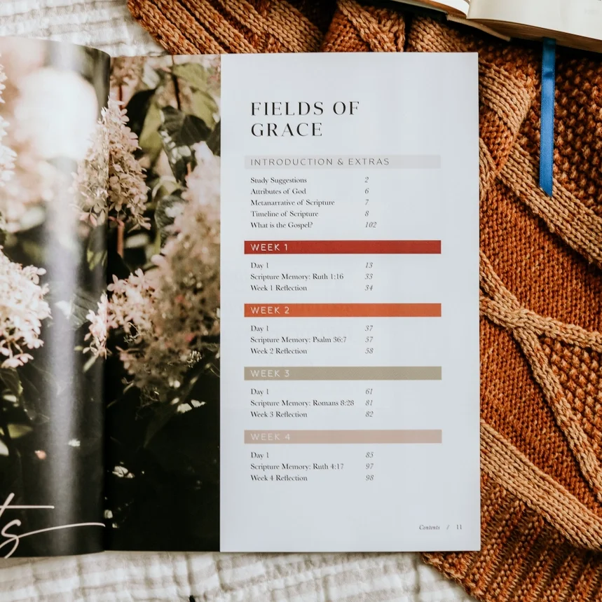 The Daily Grace Ruth II.webp