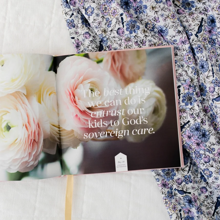 The Daily Grace Steadfast Motherhood III.webp