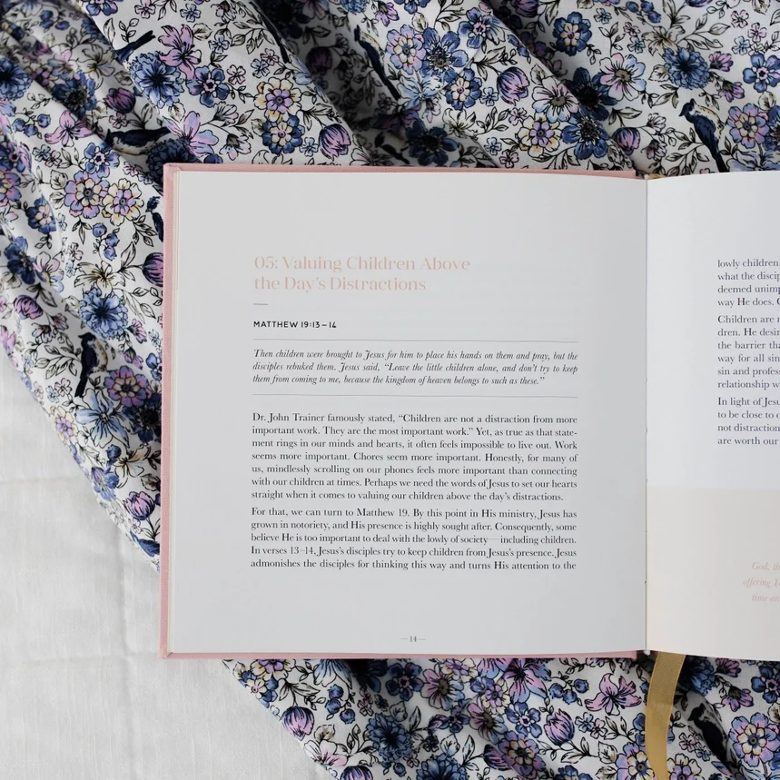 The Daily Grace Steadfast Motherhood II.webp