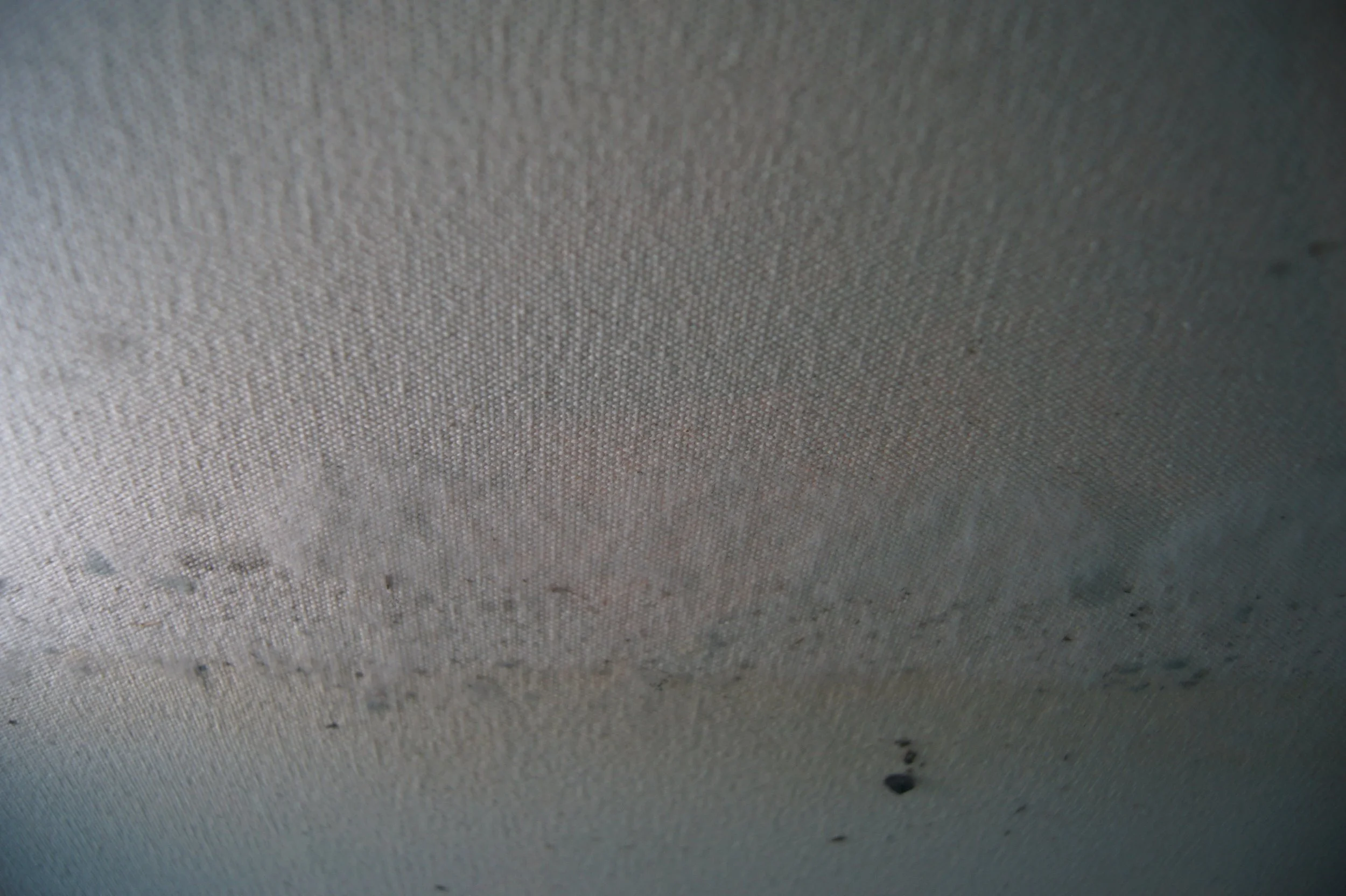 5067_QRL_T01 (10).JPG