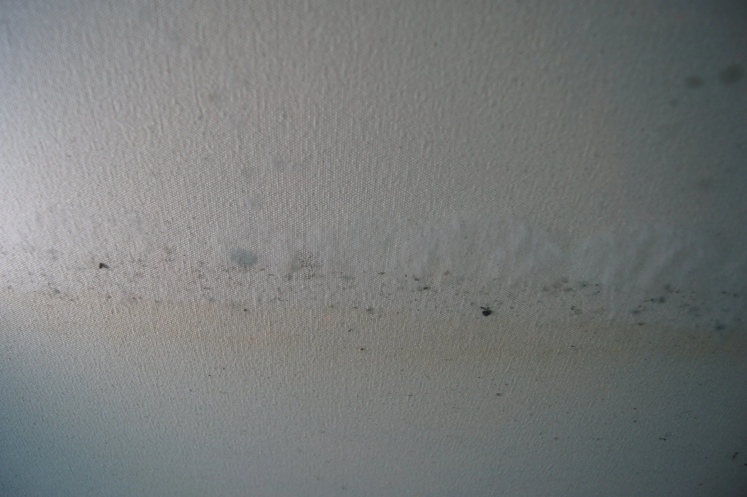 5067_QRL_T01 (9).JPG