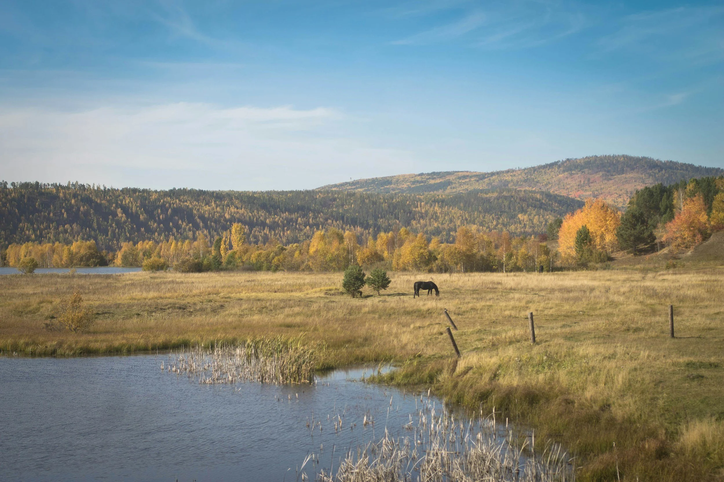 Landscape of a mountain range with forests displaying autumn colors, a clear blue sky, a body of water in the foreground, and a horse grazing in a grassy field.