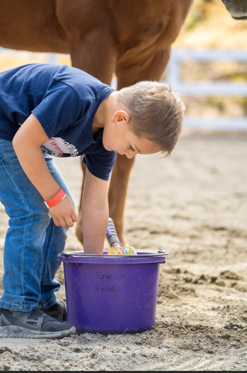 A young boy with short brown hair, wearing a navy blue t-shirt, bending over a purple bucket labeled "Exploring Equine" on sandy ground, with a brown horse nearby.